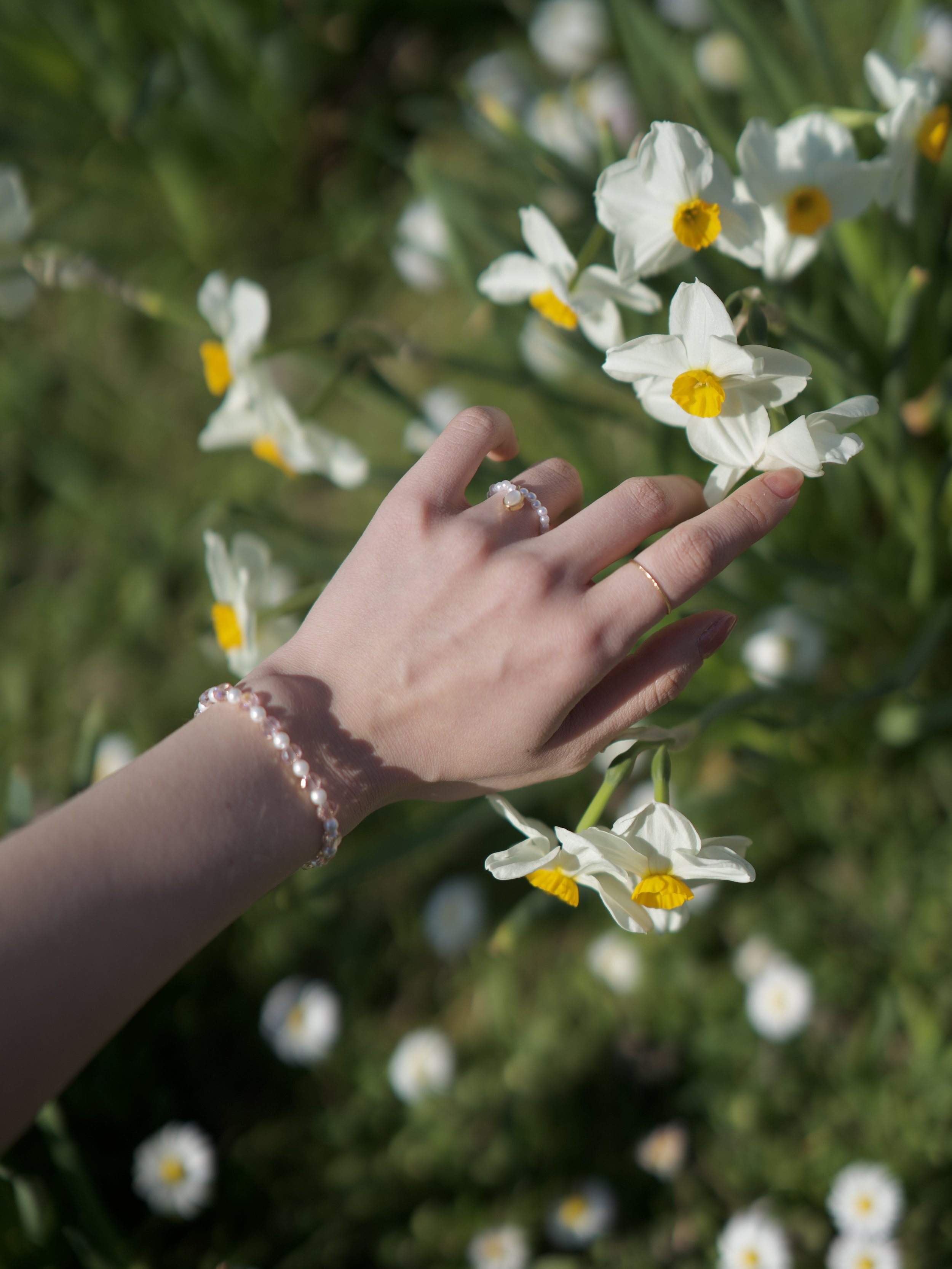 bracelet dasom