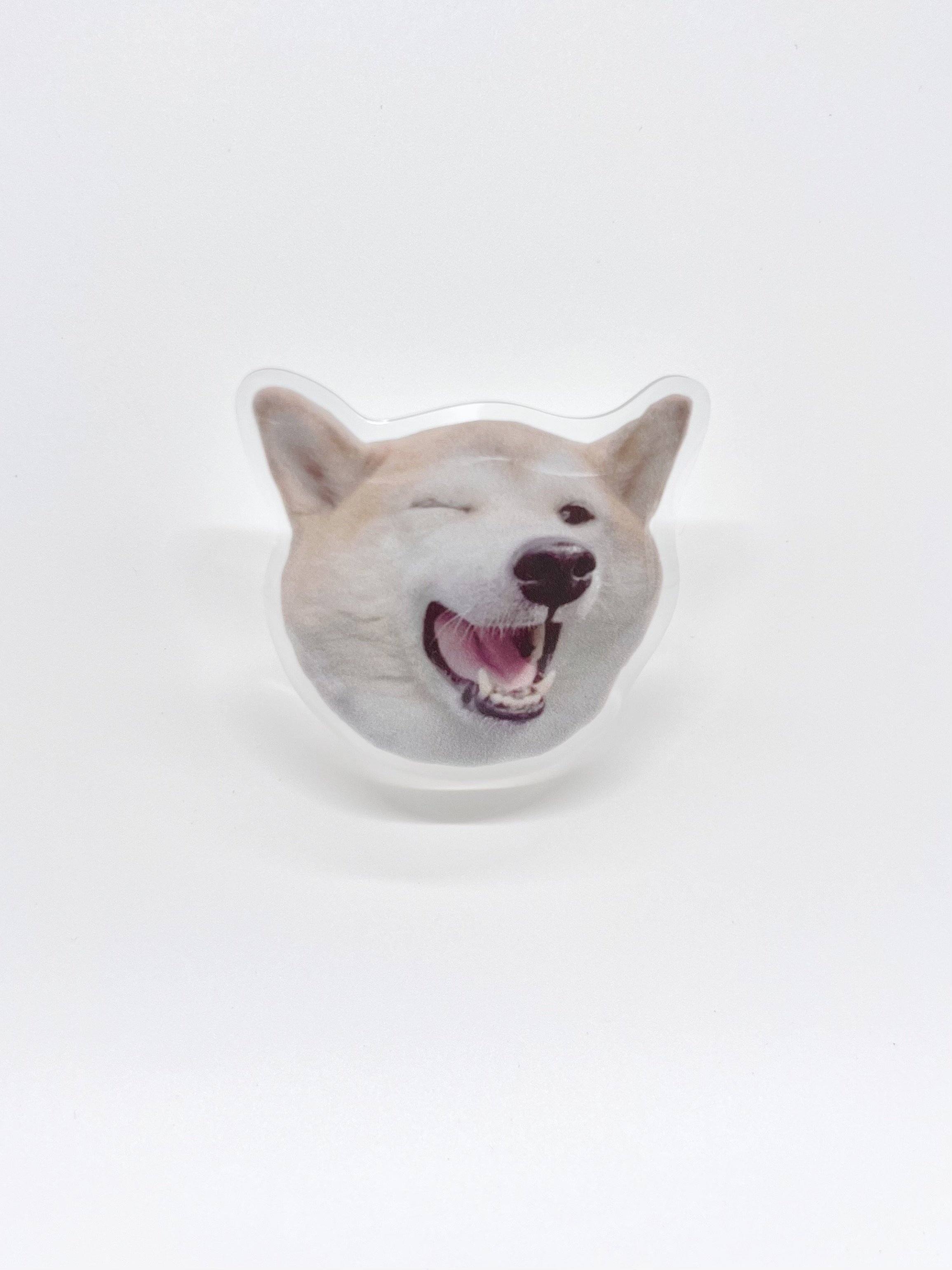 Dodog 1.jpeg