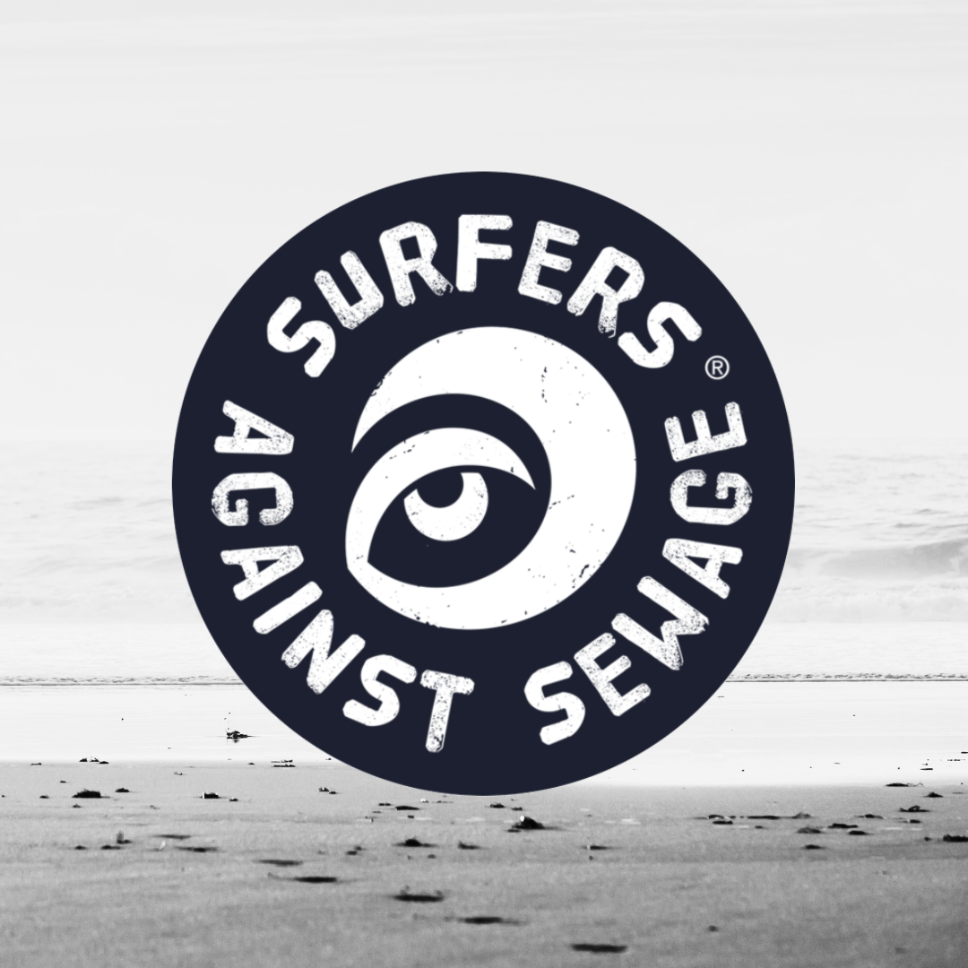 Surfers Against Sewage - AI Partnership Case Study - FOIL.png