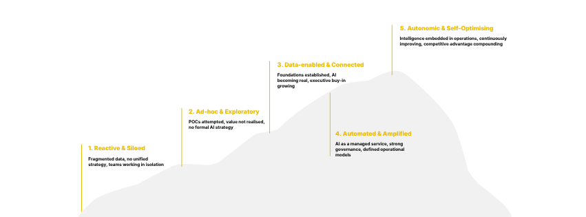 A diagram illustrating the five levels of organizational maturity, from 'Reactive & Manual' to 'Automated & Self-Optimizing,' with descriptions of each stage.