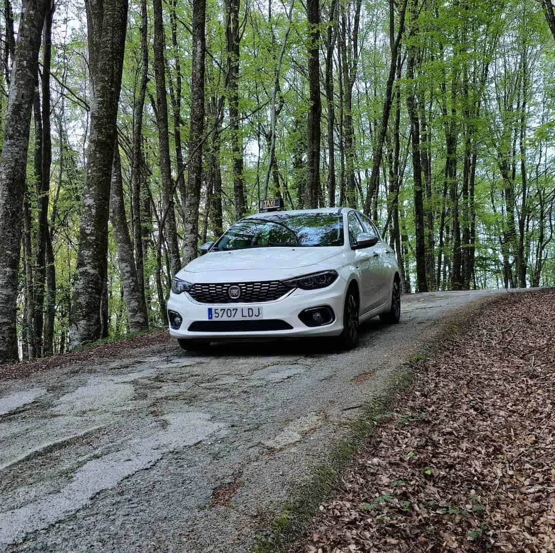 Taxi en Vic número teléfono 695598469 Taxi Pous