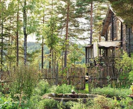 ELEMENTARY DIALOGUES: DEEP NUTITION