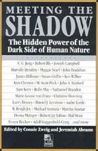 Book recommendation of the Month: Meeting the Shadow