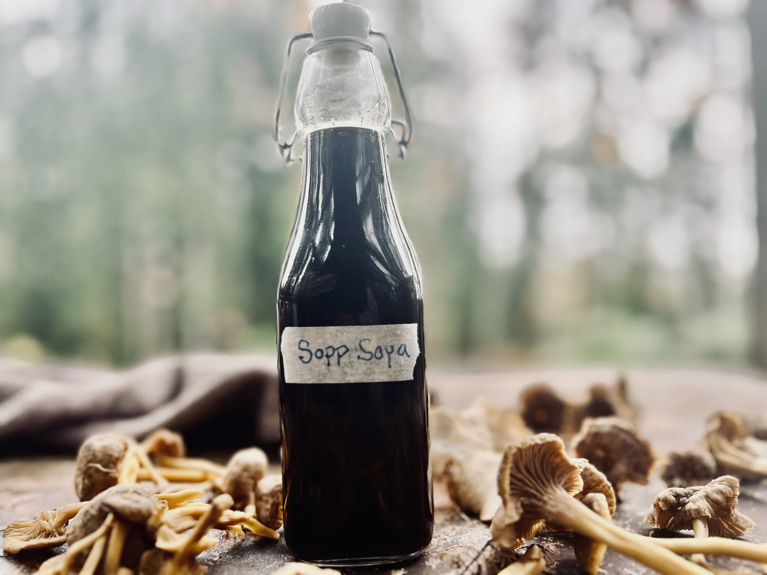 Mushroom Soya as a Scoprio Elixir 