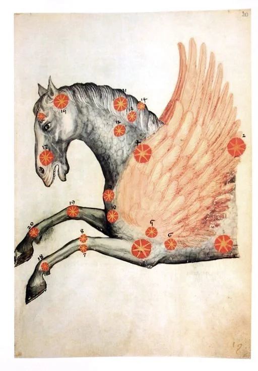 The Sag-Persona: The Inner Seeker