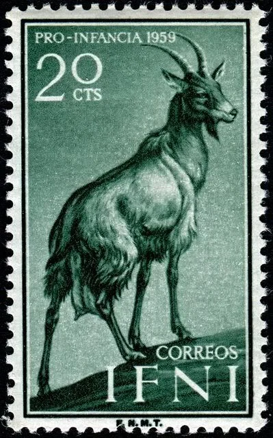 Capricorn — Level IV:Healthy Boundaries 