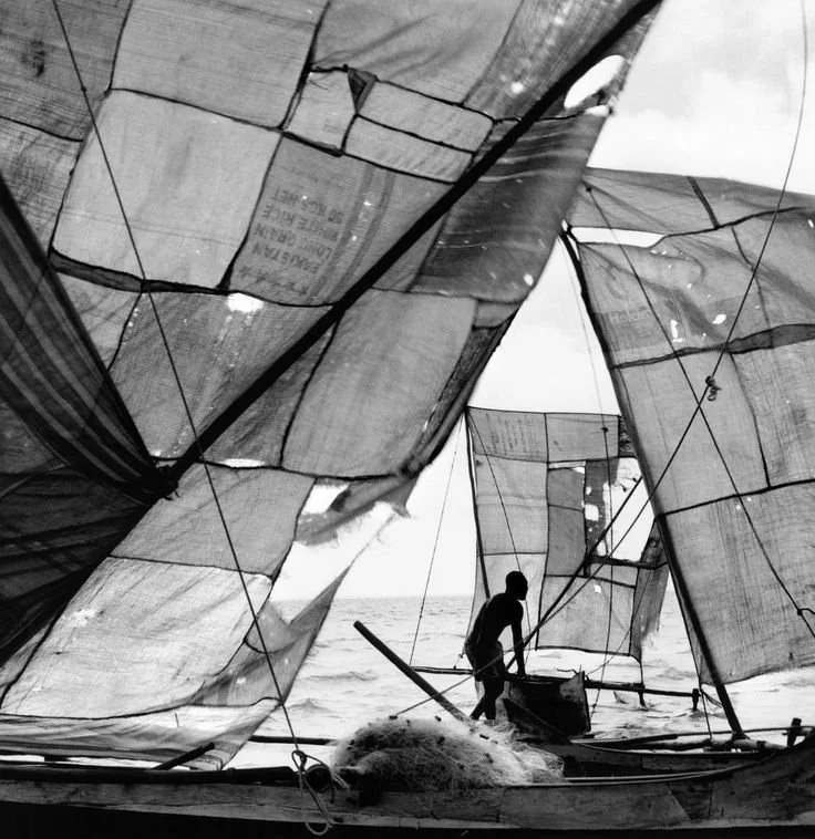 Poem on the Wavelength of Aquarius: Equanimity