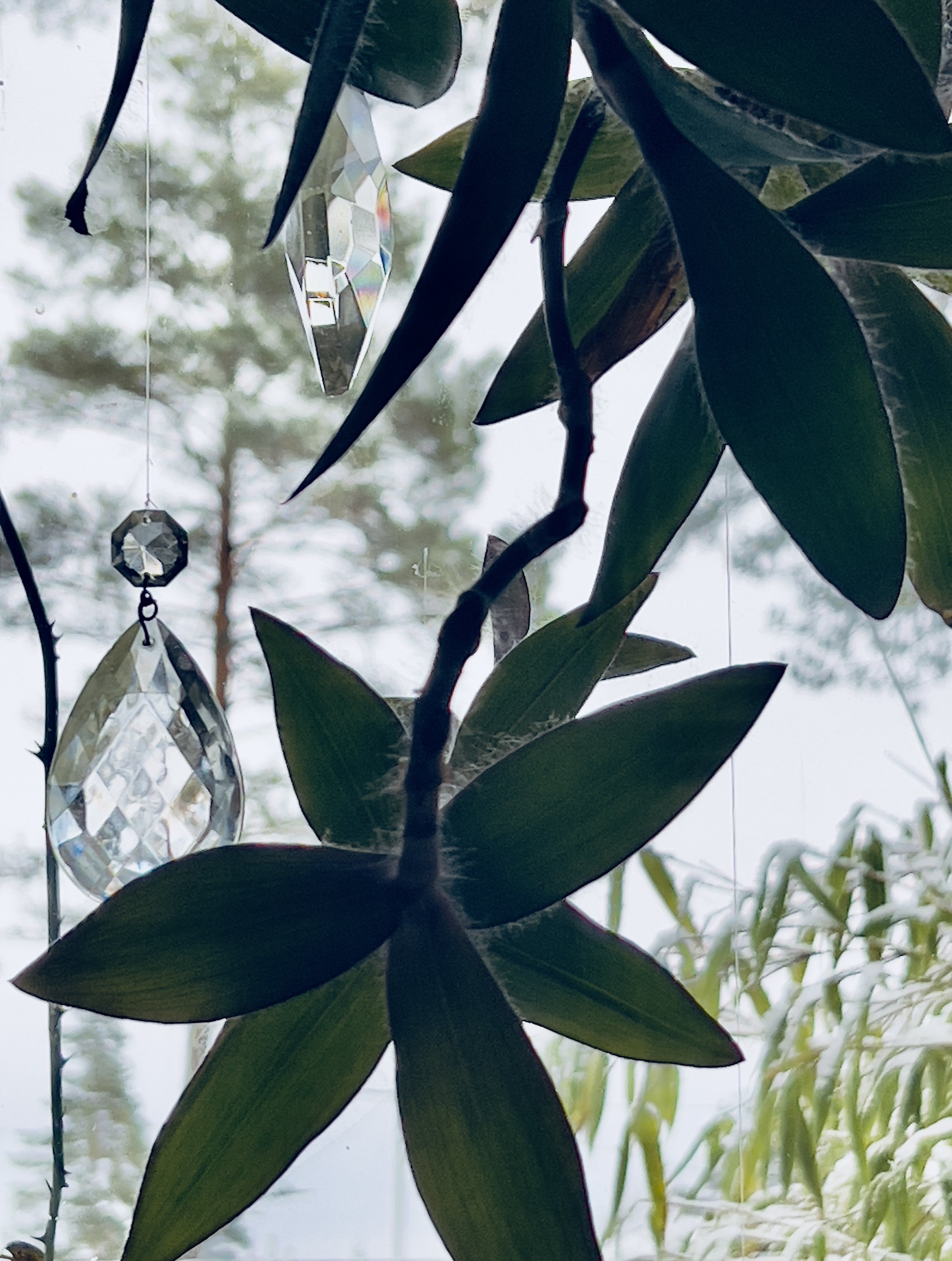 Suspended interior gardens