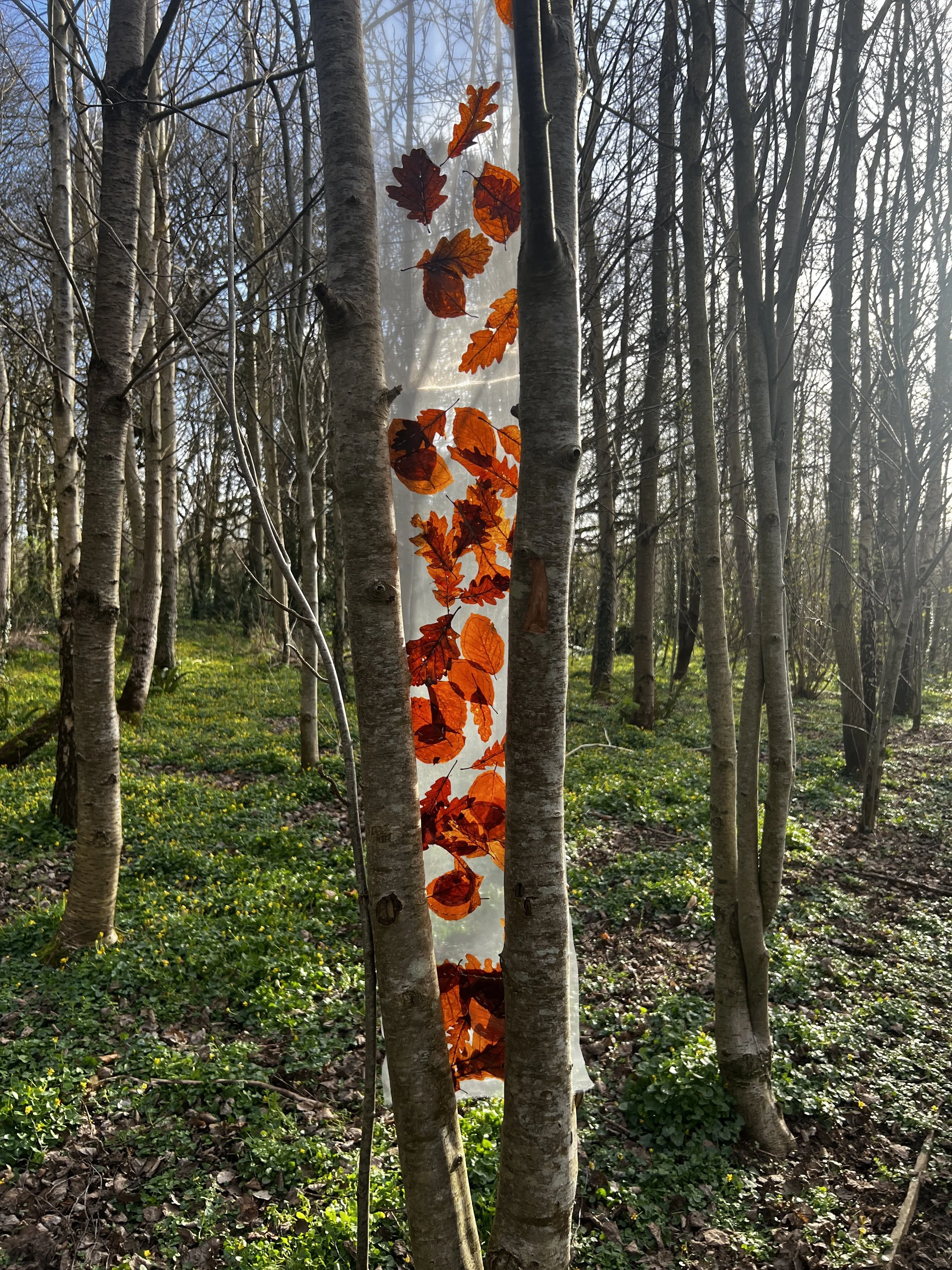 ‘Leaves Matter’ Aberlleiniog Sculpture Trail installation.