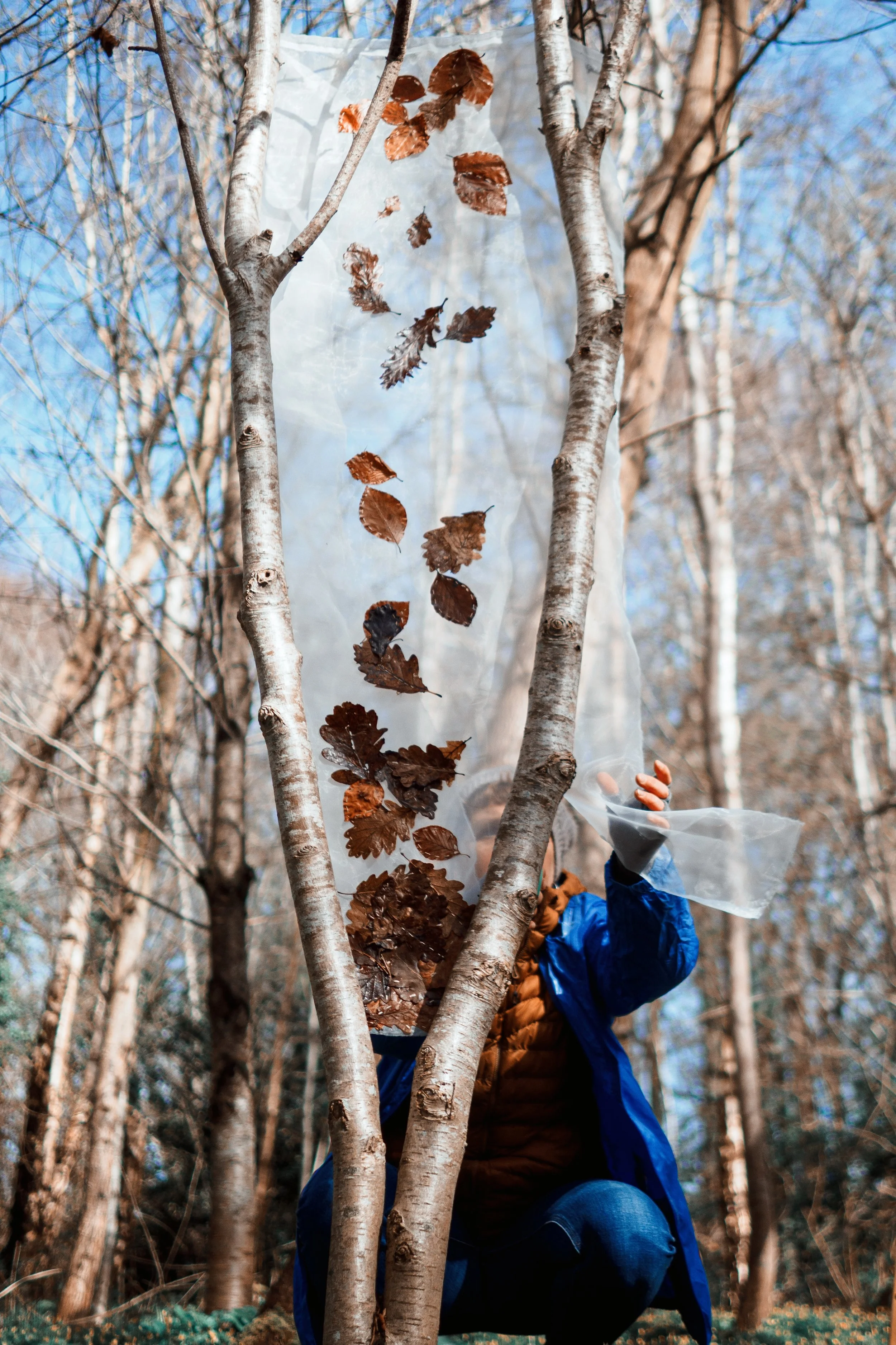 ‘Leaves Matter’ Aberlleiniog Sculpture Trail installation 