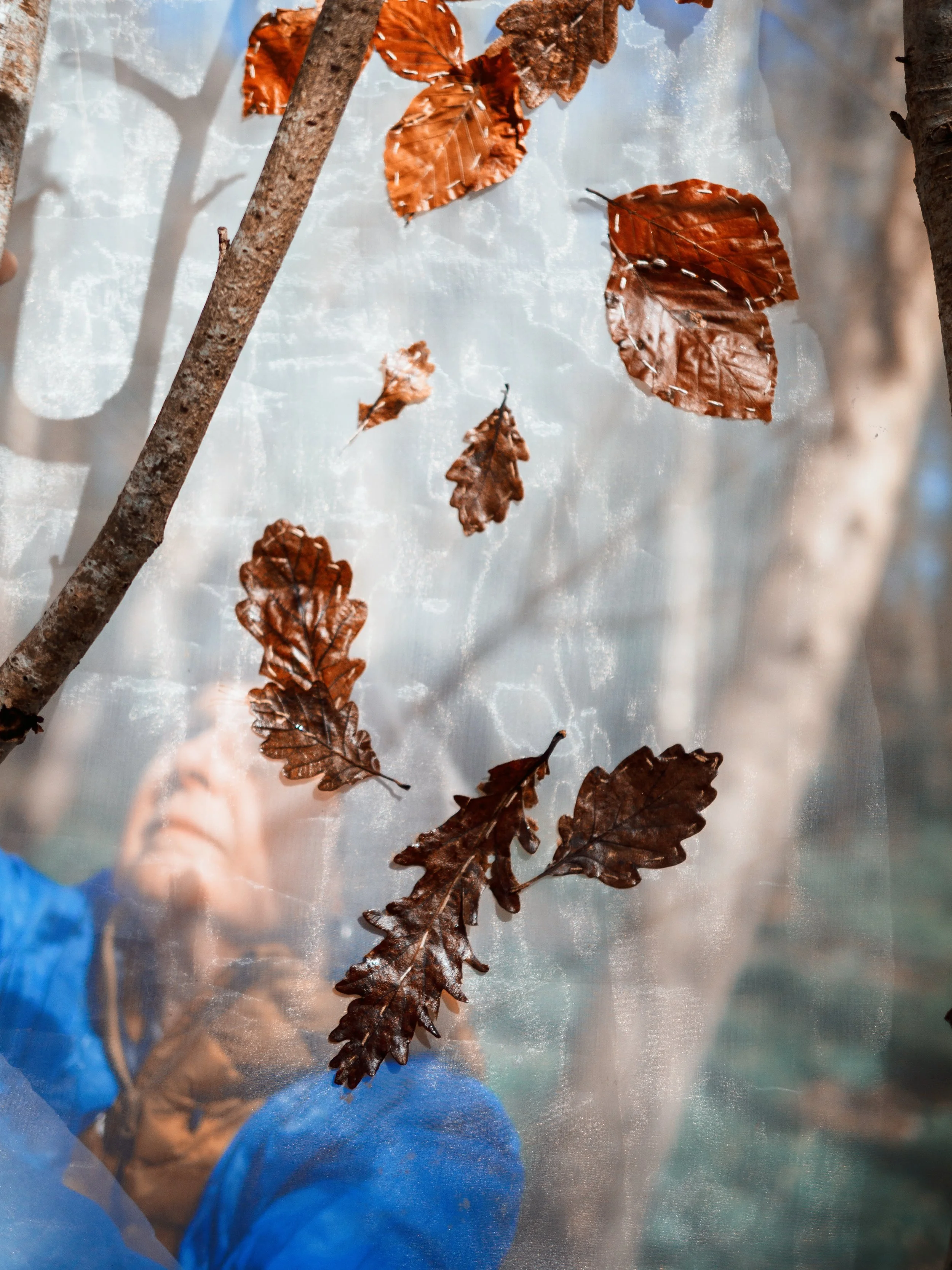 ‘Leaves Matter’ Aberlleiniog Sculpture Trail installation.