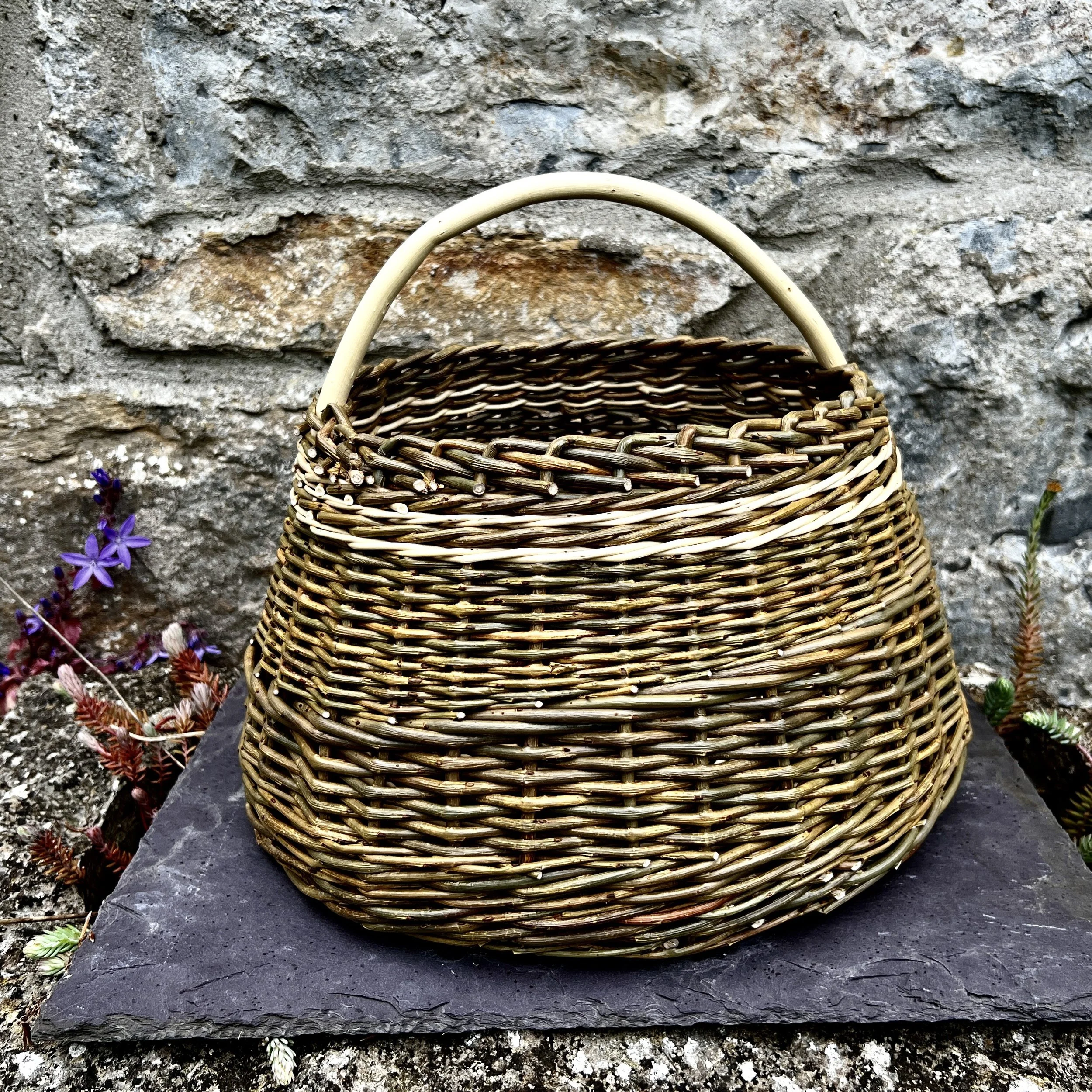 Large round base basket with willow bow handle.