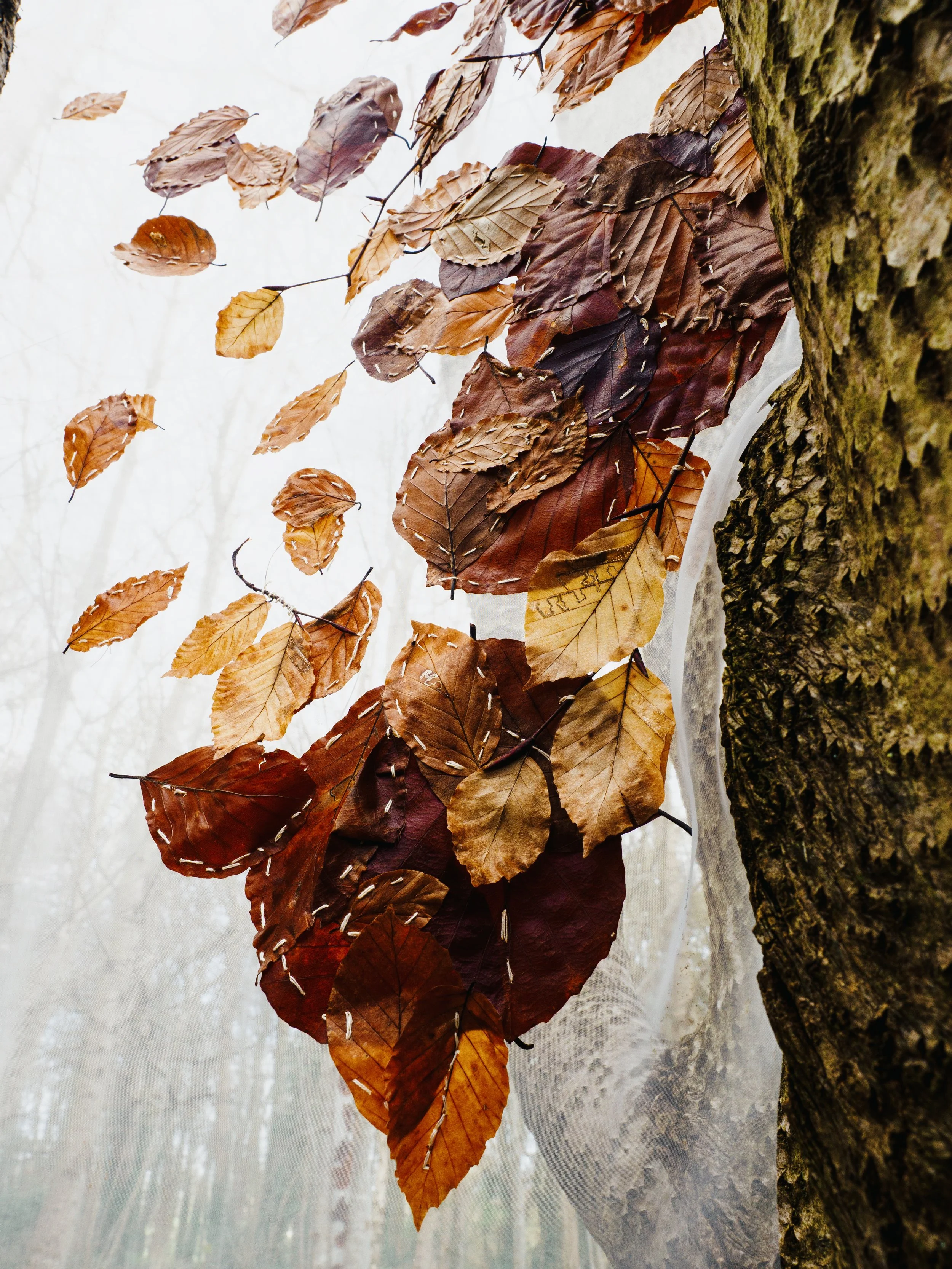 ‘Leaves Matter’ Aberlleiniog Sculpture Trail installation.