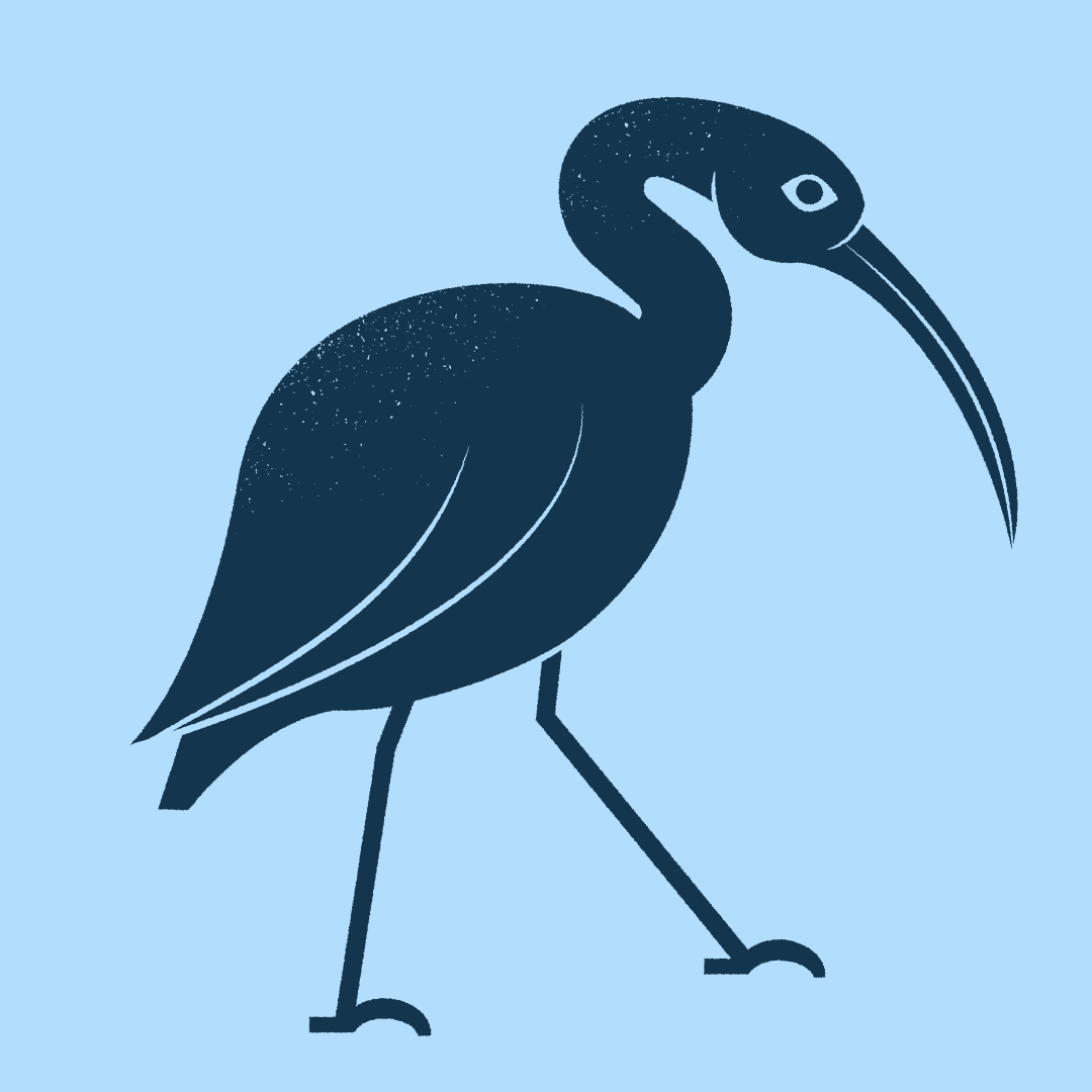 scarlet ibis.png