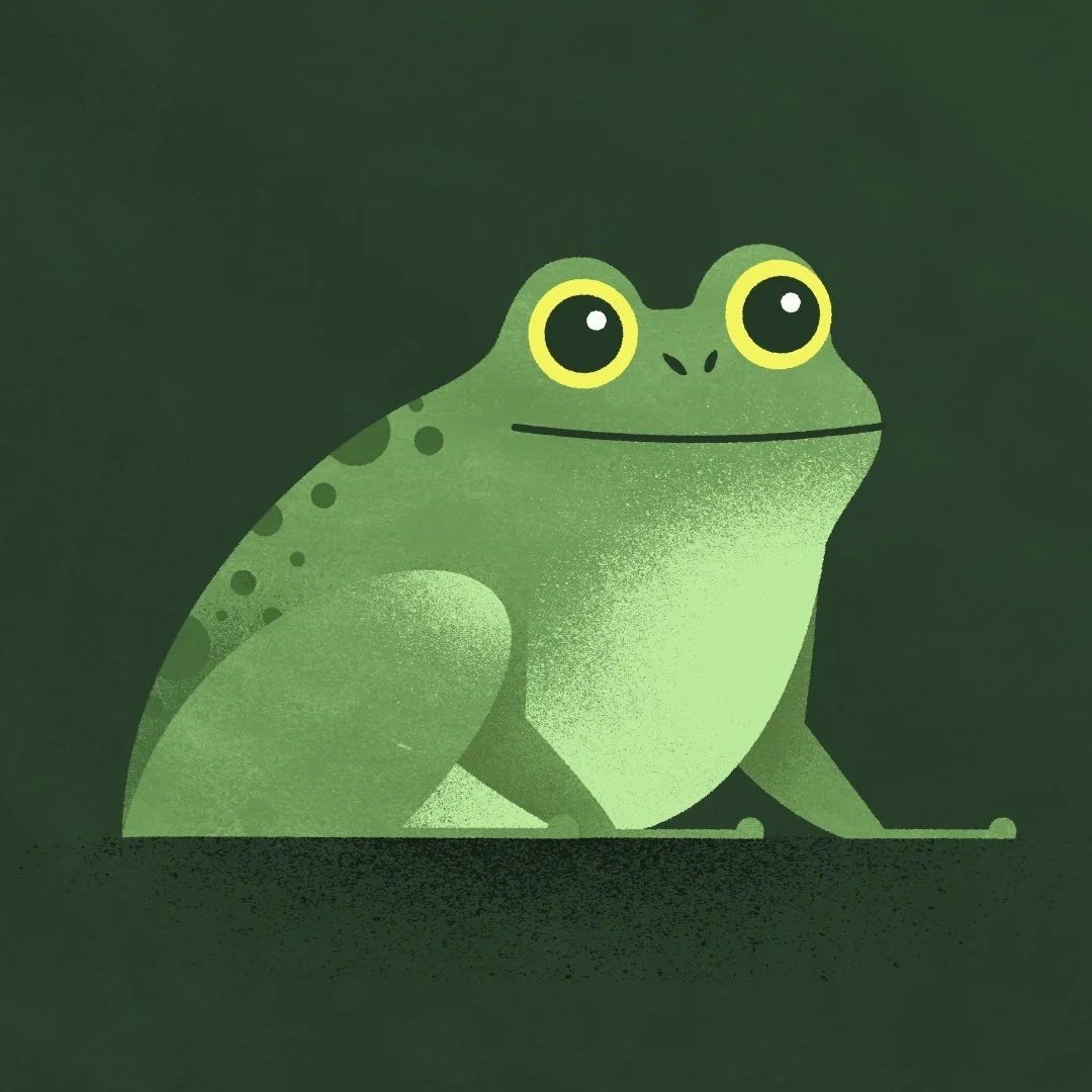 Frog.jpg
