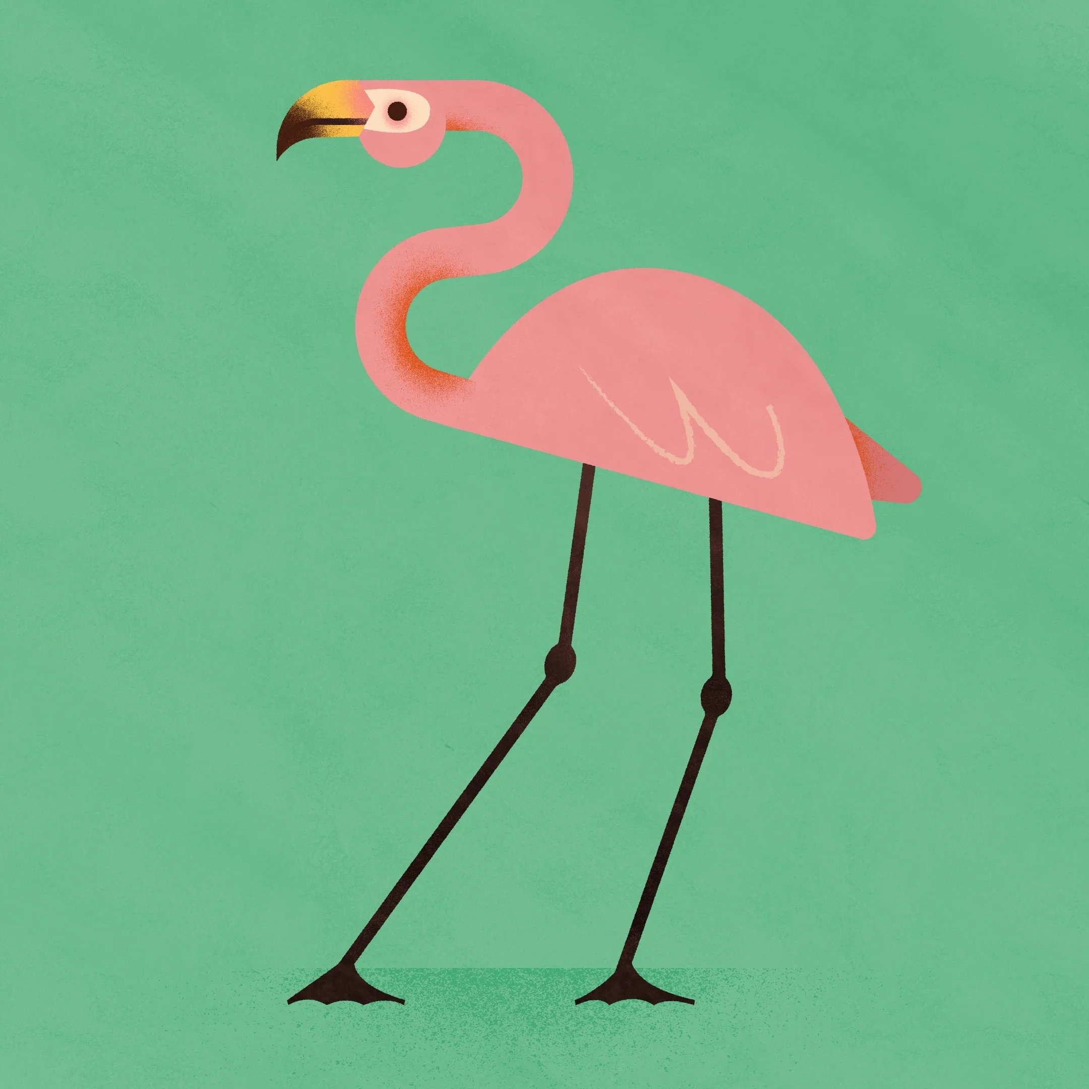 flamingo.jpg