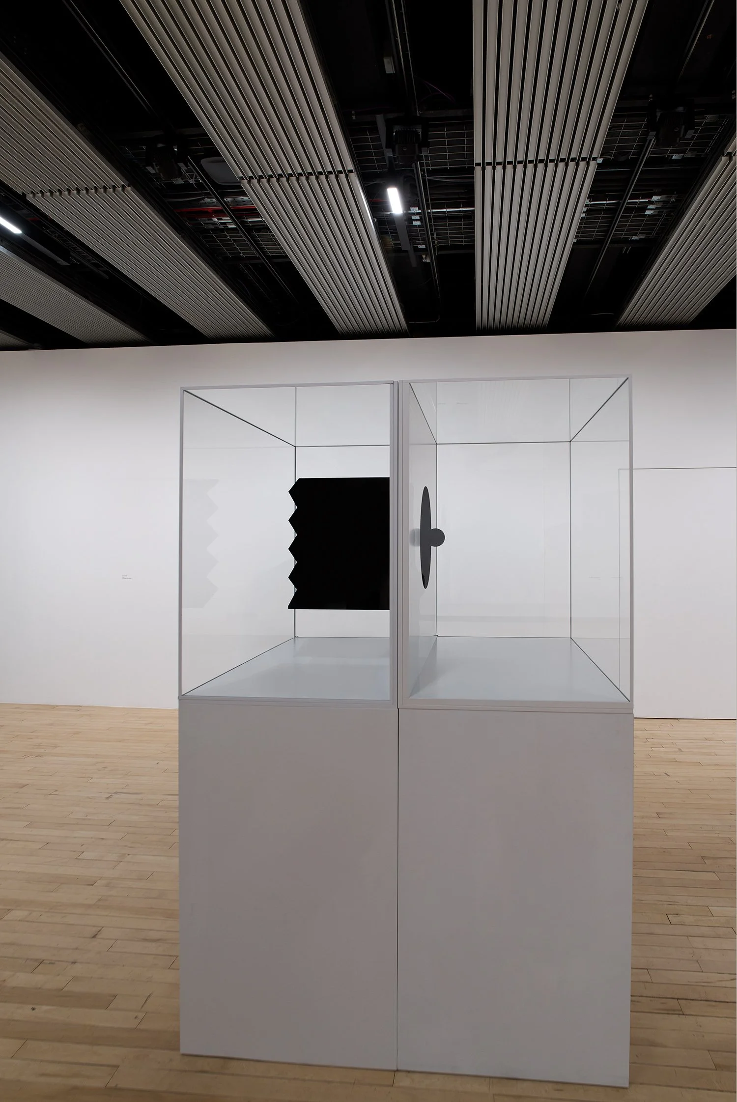 Anish Kapoor Haywood Gallery 2026