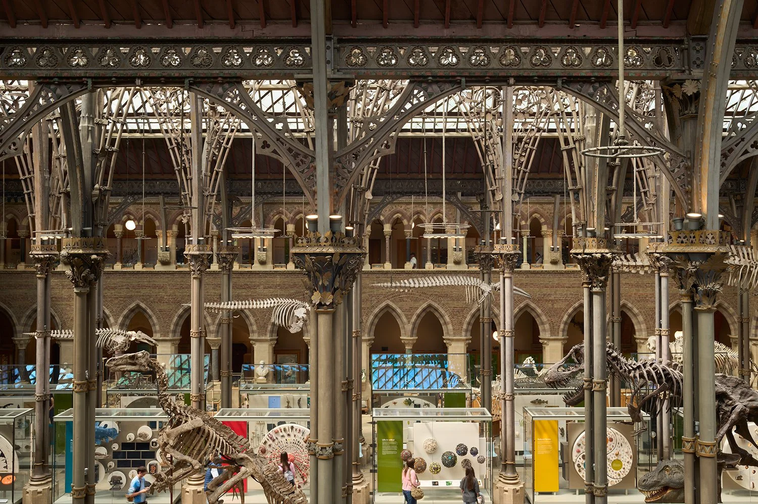 Museum of Natural History / Oxford University