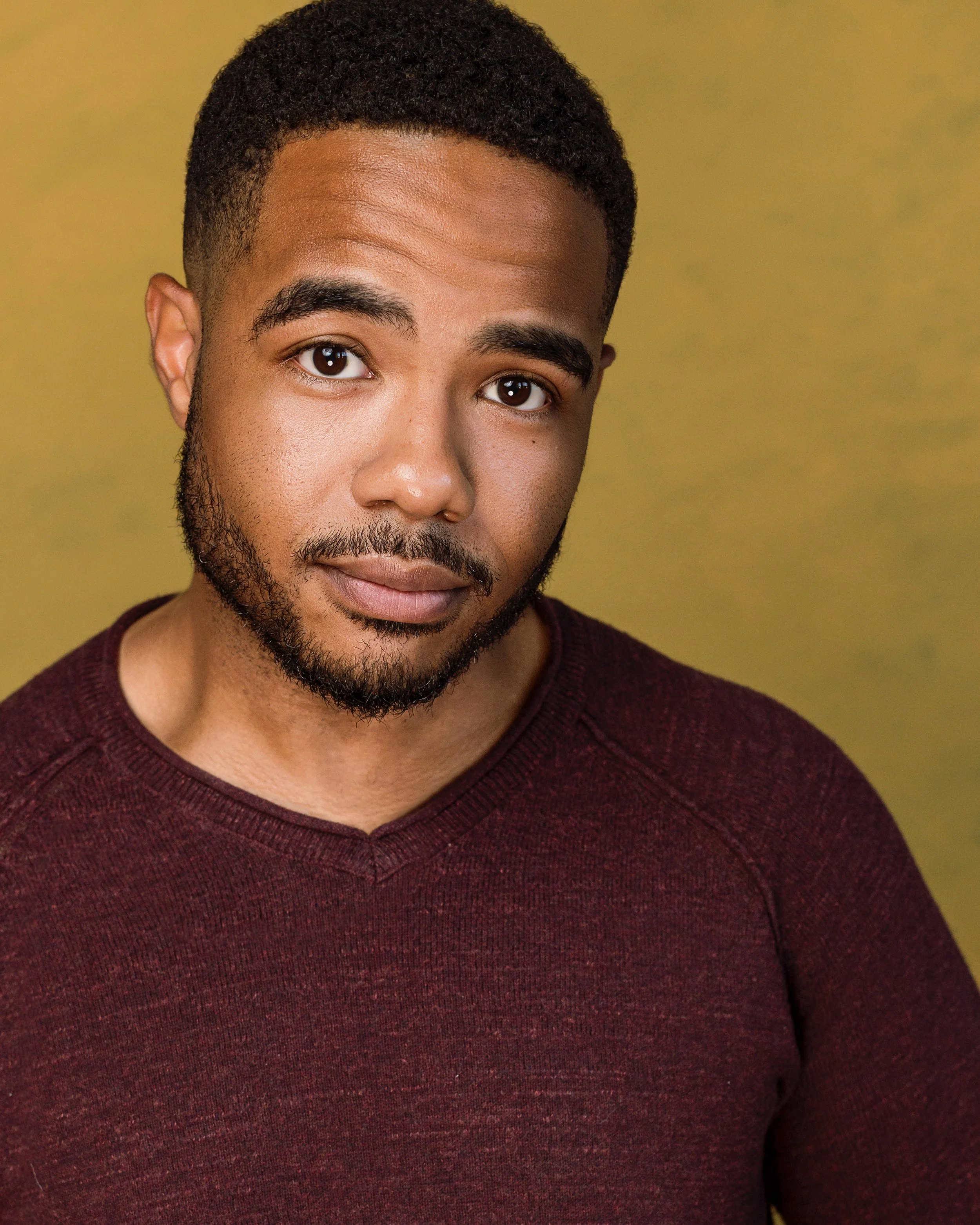 Close-up of a man with dark hair, a beard, and mustache, wearing a maroon sweater, against a yellow-green background.