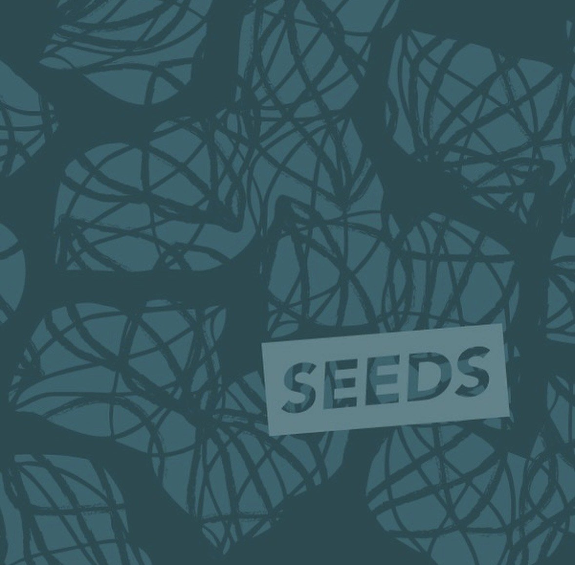 SEEDS (Agora Artists) - Program Producer (UPCOMING)