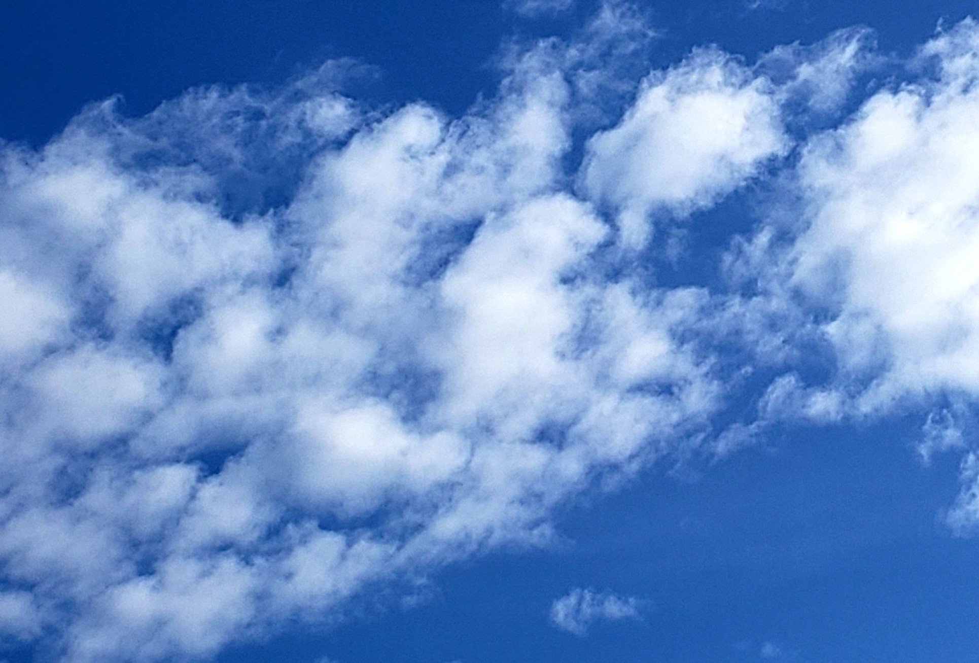 Website Page Banner.jpg