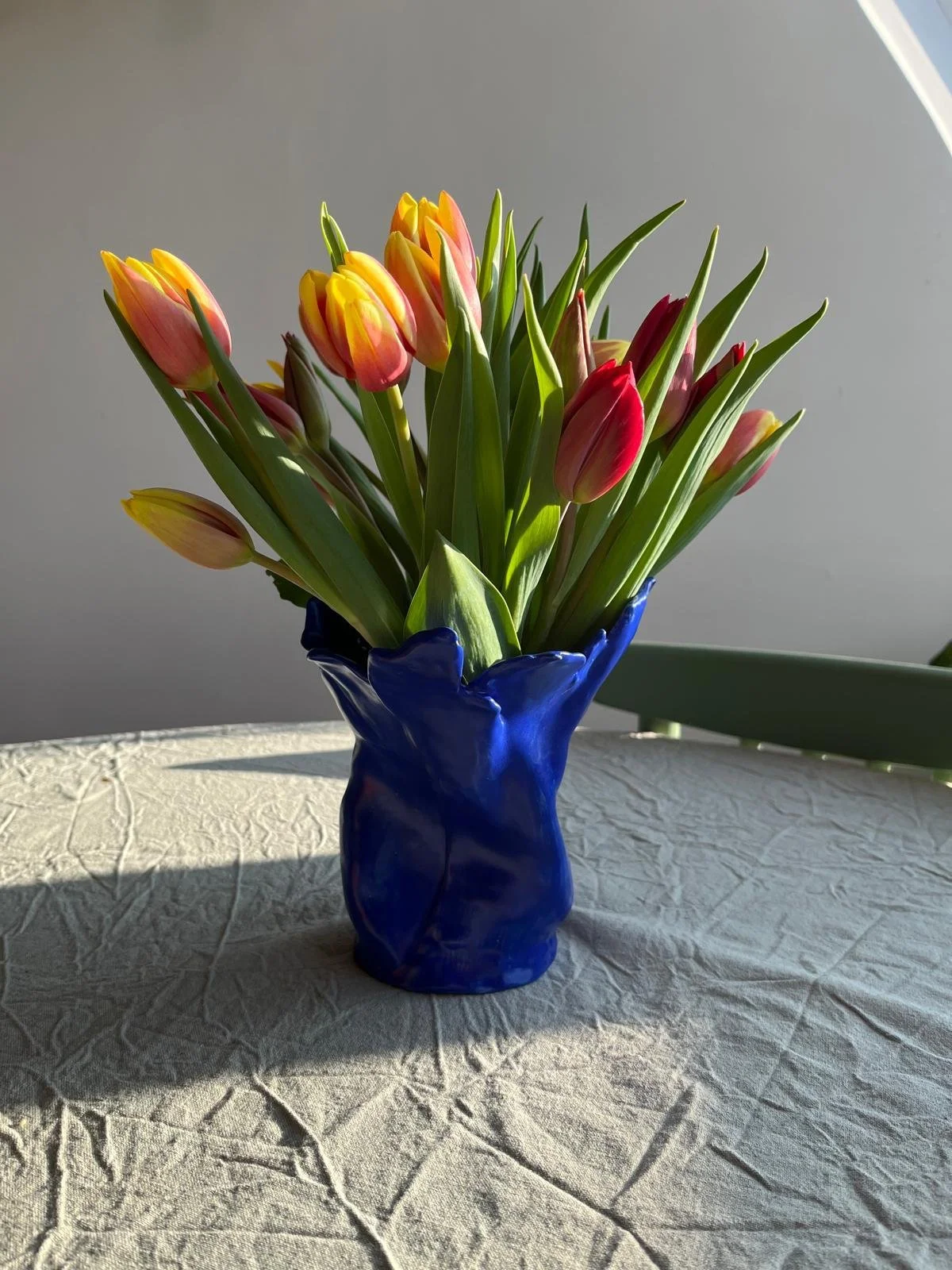 414e96a9-9d61-45d0-81ce-087e6eccd068.jfif