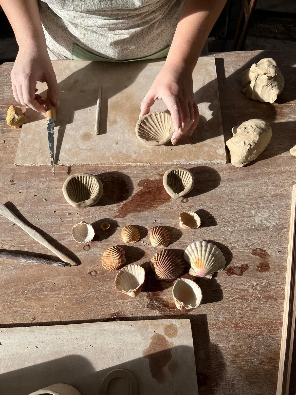 7d756c2f-6142-4e00-9d55-f531c8b93796.jfif