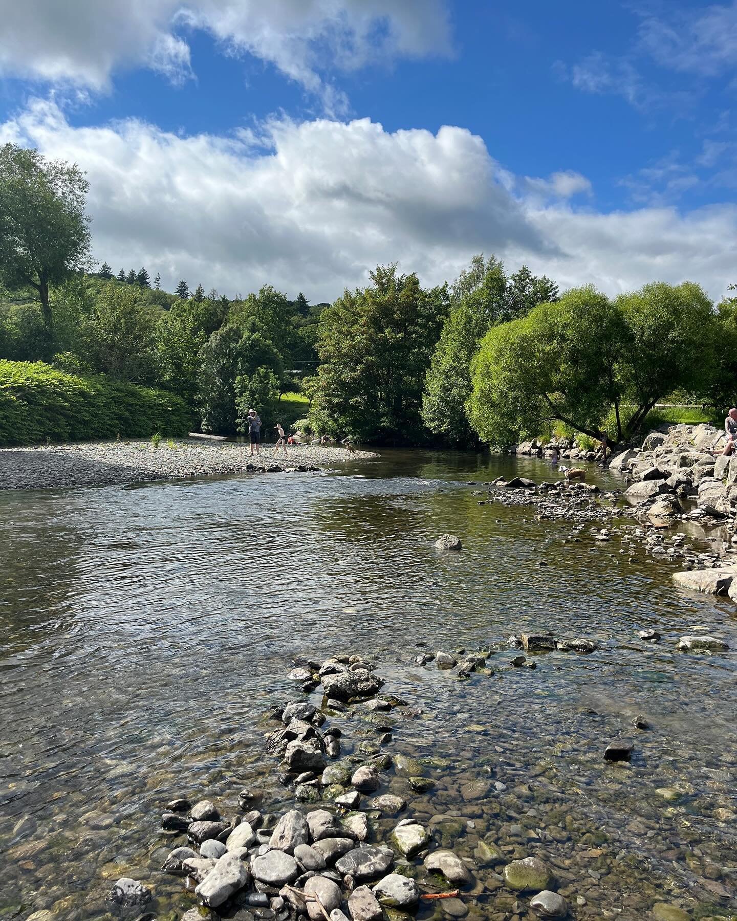 Nothing like a little dip on a Monday 🏊&zwj;♂️