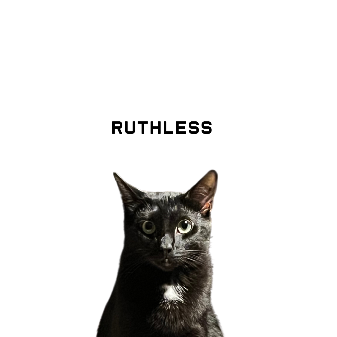 Ruthless the go-2.png