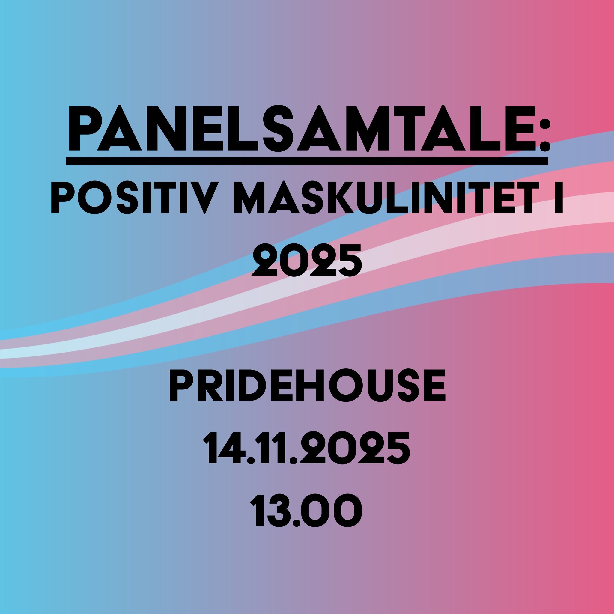 Panelsamtale: Positiv Maskulinitet i 2025