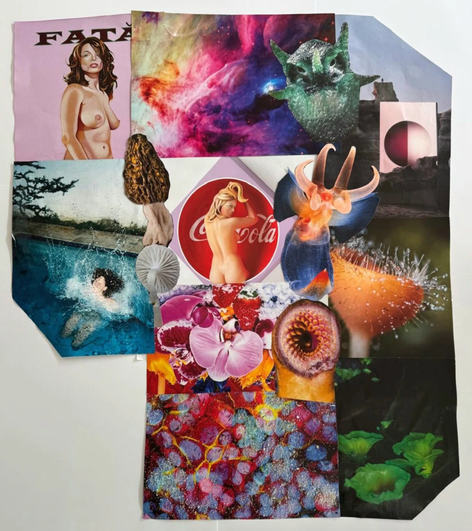 COLLECTION 1: STEAMUL8 YOUR COLLAGE