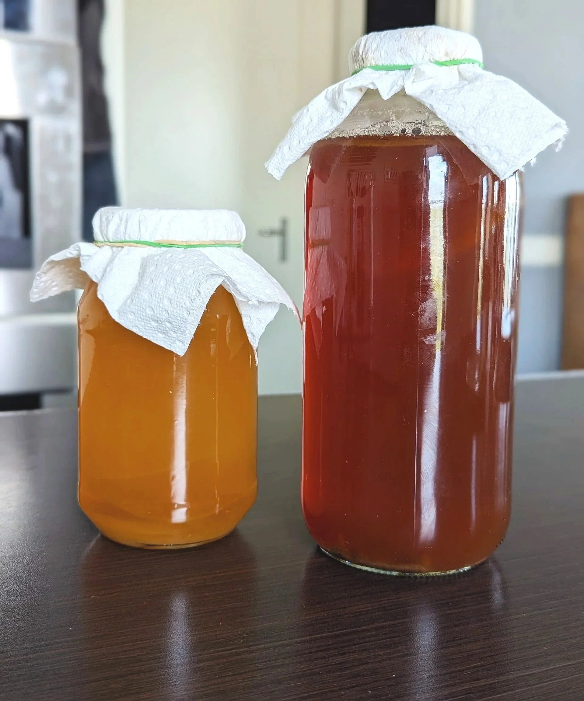 Kombucha and Jun drinks brewing in the kitchen
