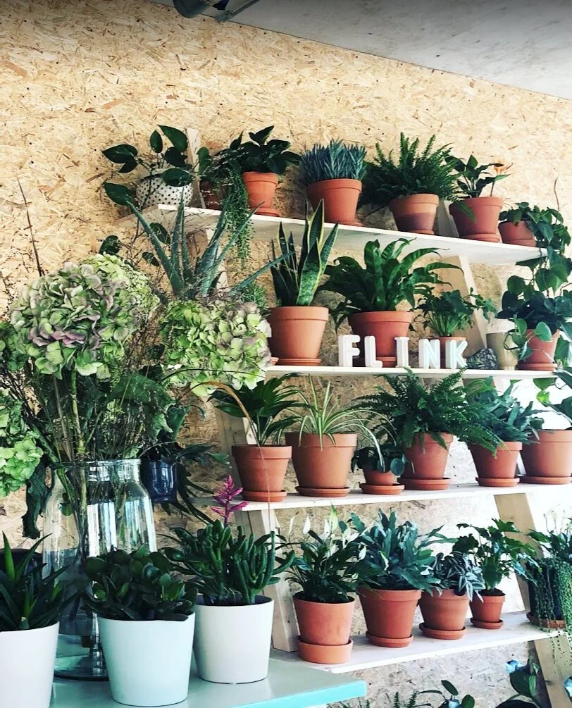 Flink+Cafe+Entrance+Plants.jpg