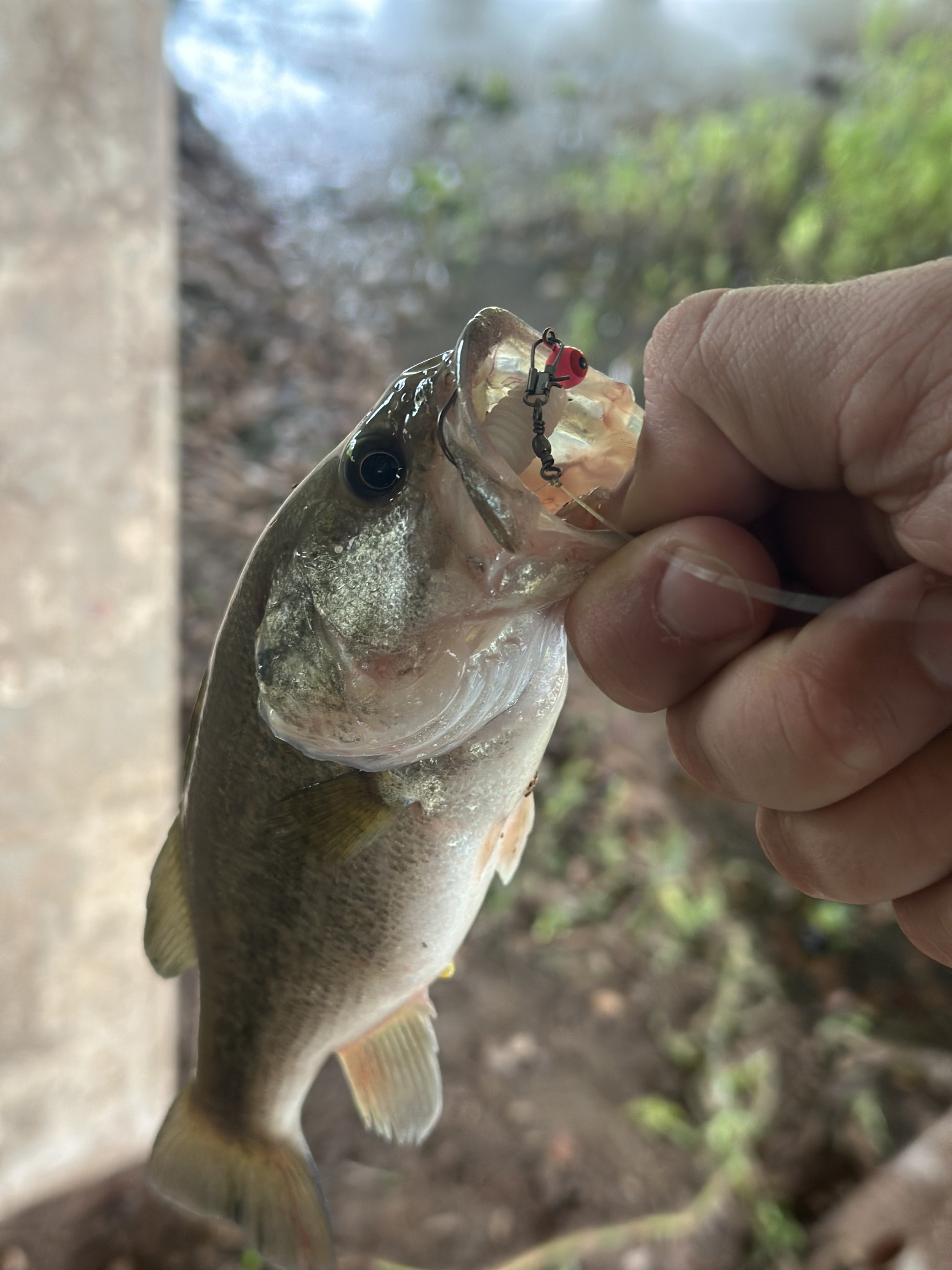 Urban fishing.jpeg