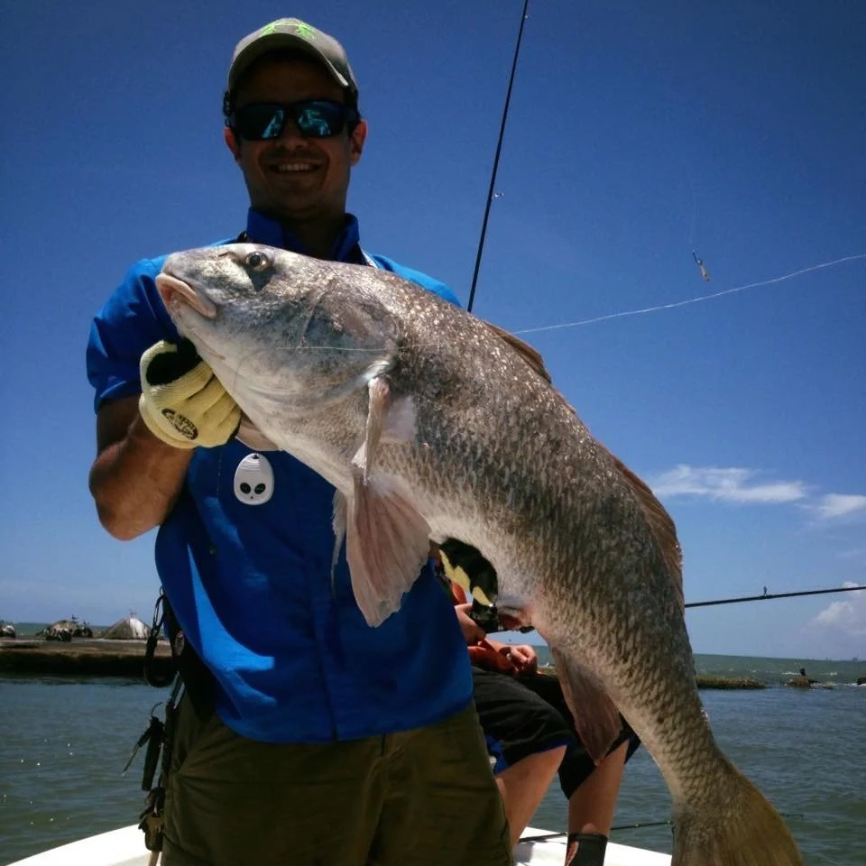 PB black drum.JPG