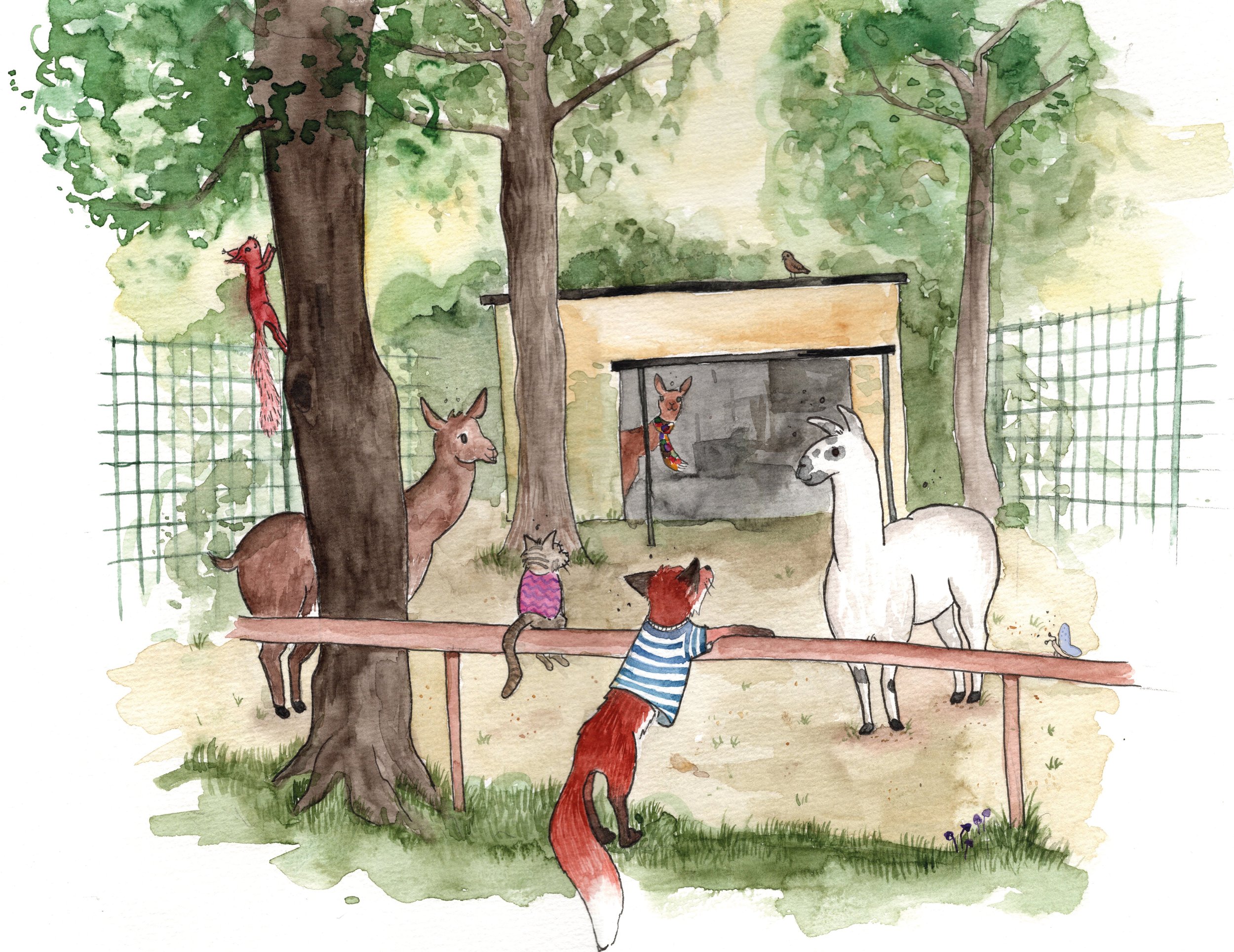 Lamas_klein.jpg