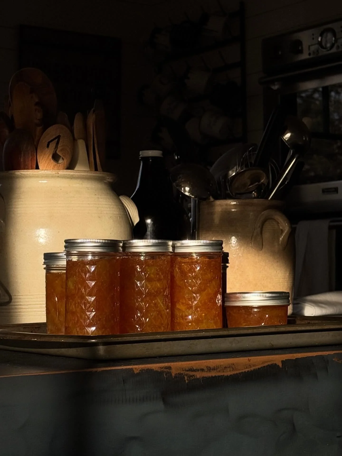 Always chasing the light&hellip; 🌞