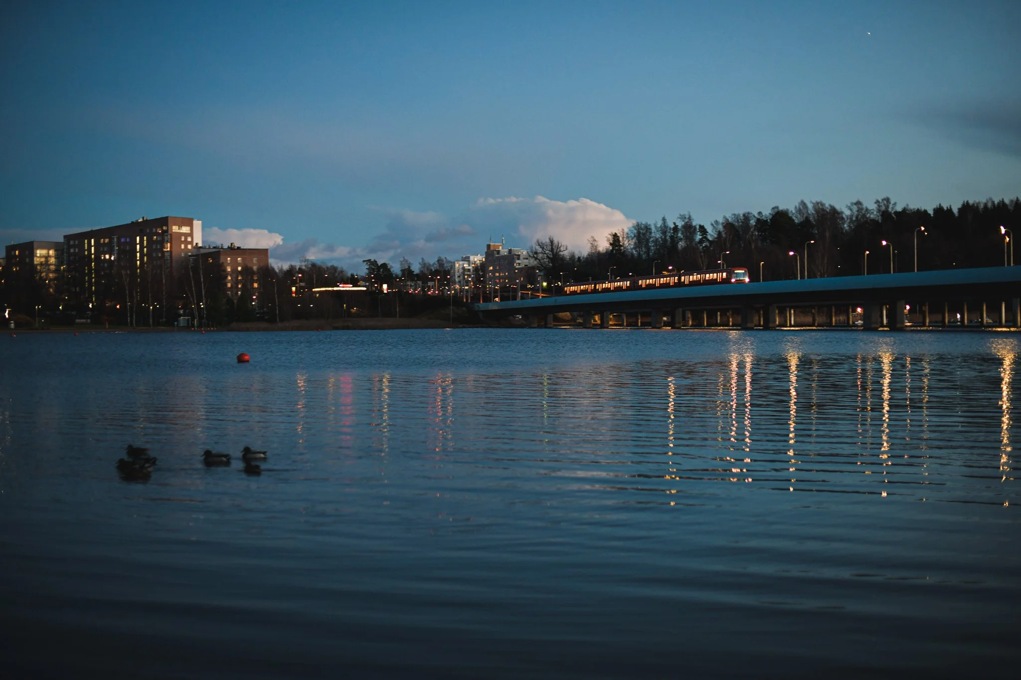 _DSC3581.jpg