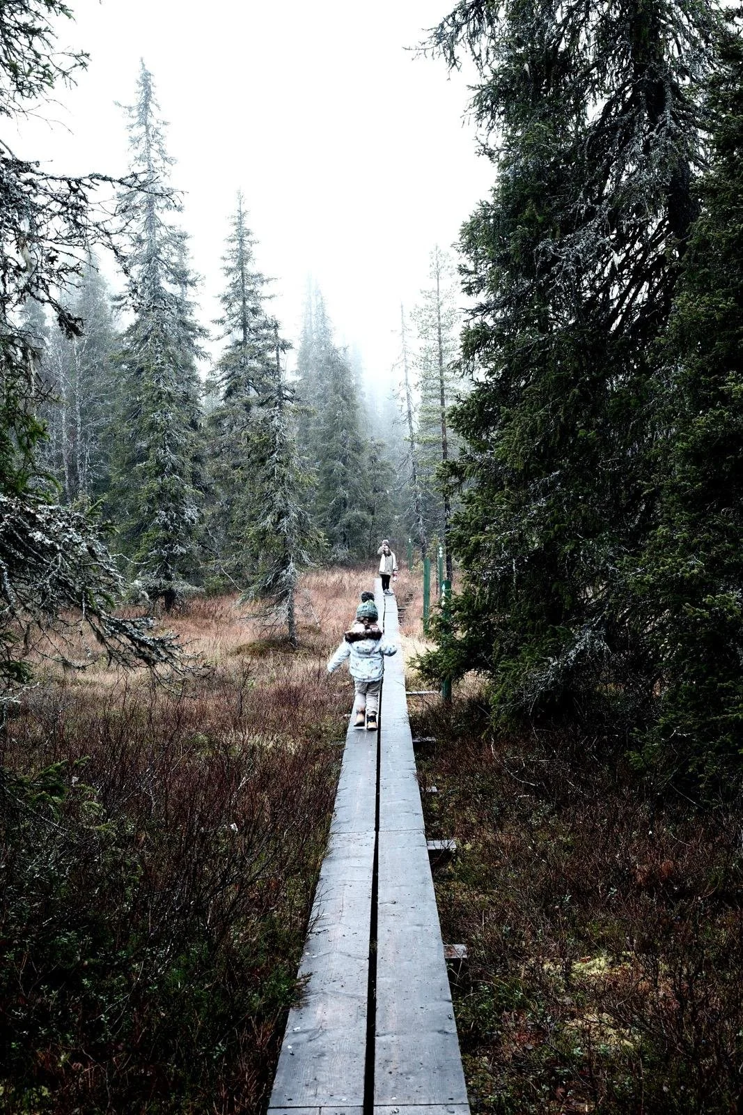 WhatsApp Image 2024-12-18 at 12.44.59.jpeg