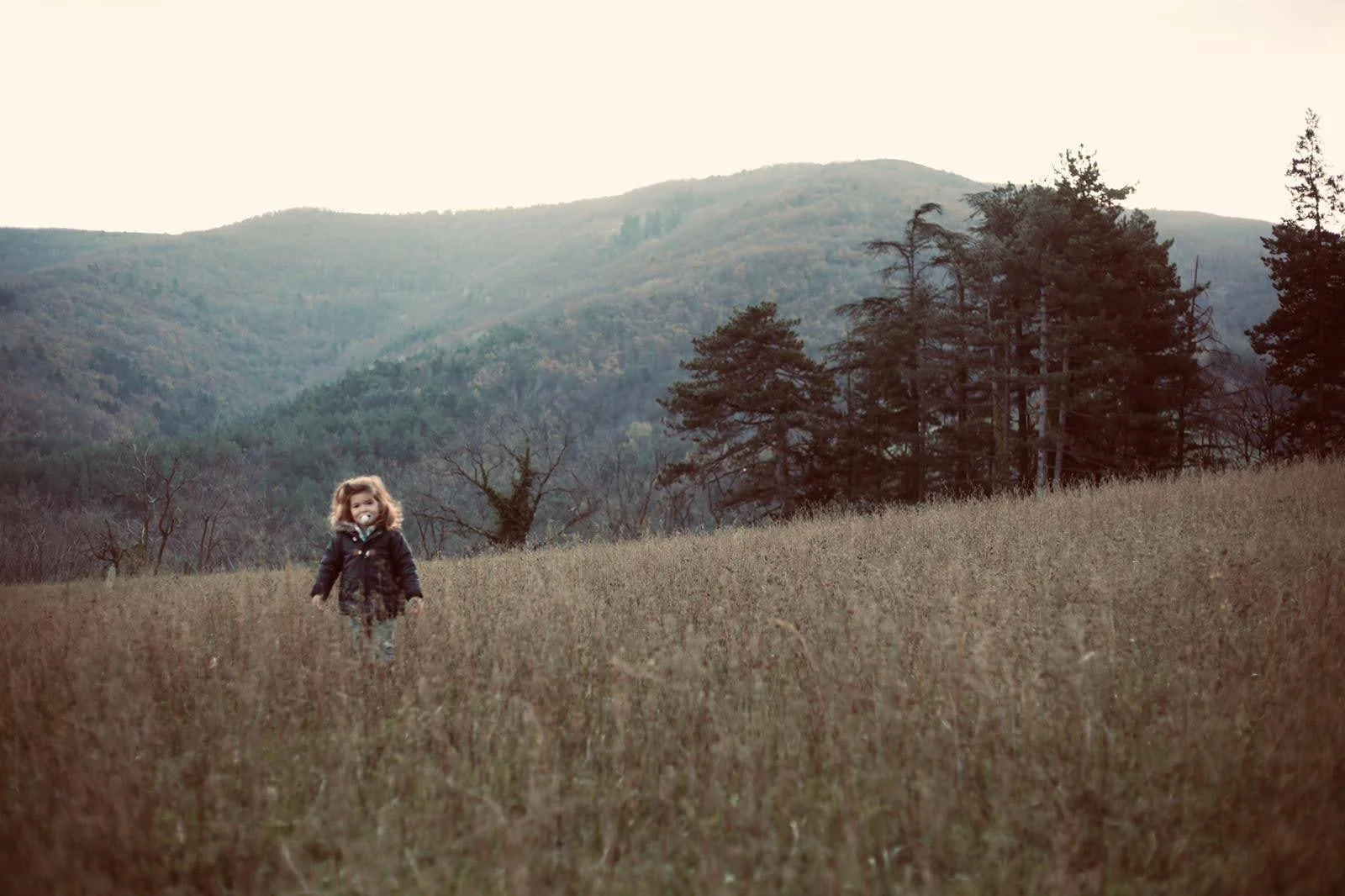 WhatsApp Image 2024-12-18 at 12.38.40.jpeg