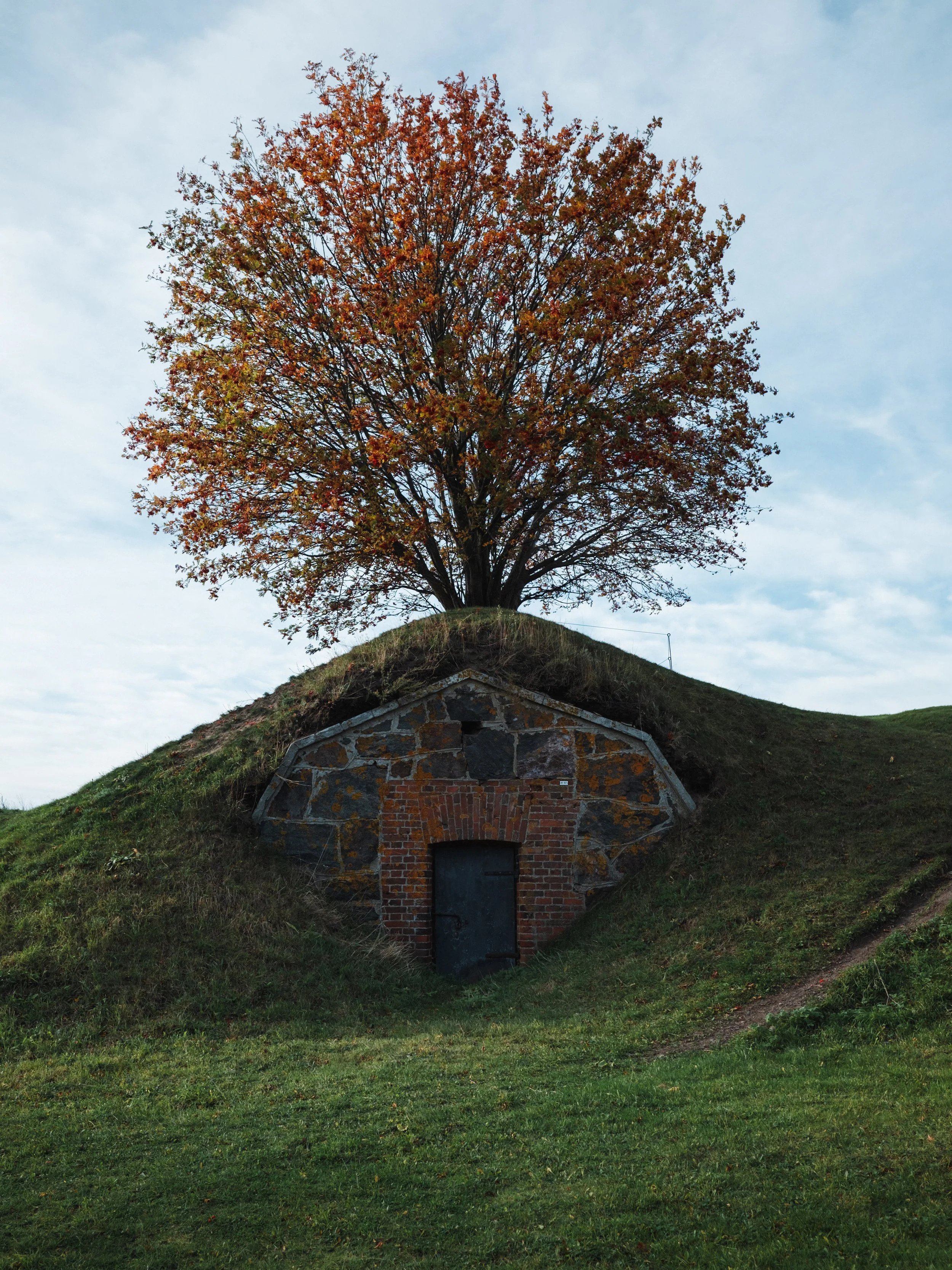DSCF1508.jpg