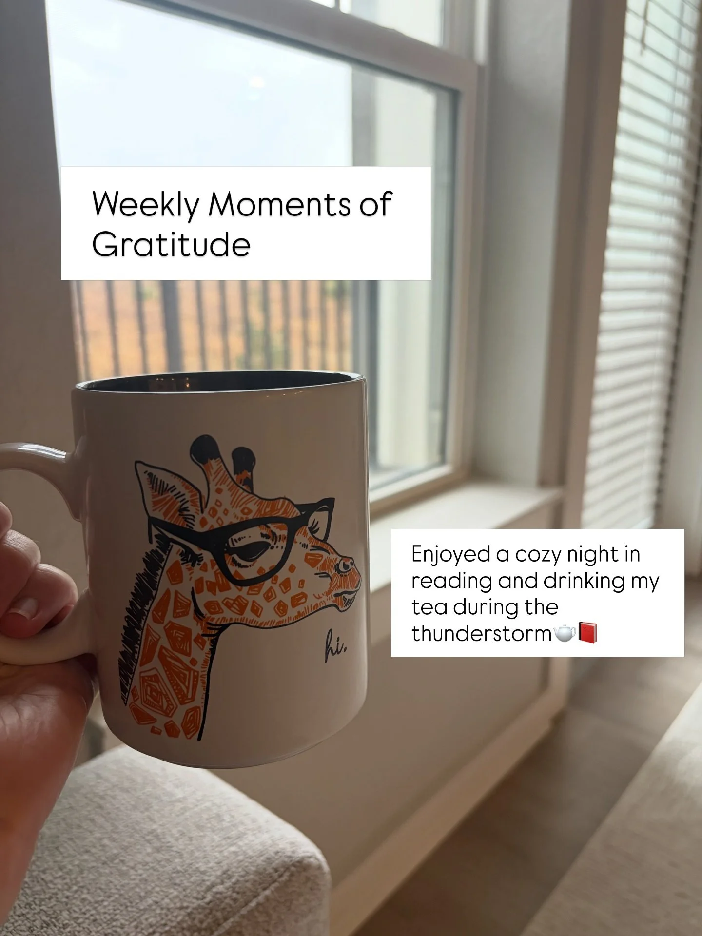 Taking a moment to look back on each week and the things I&rsquo;m grateful to have the opportunity to do has been really awakening lately.

Being a business owner comes with really tough days,  experiences, and lessons. So taking time to look at the