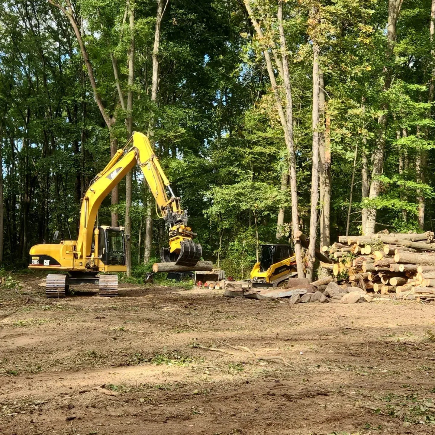 Land Clearing.jpg