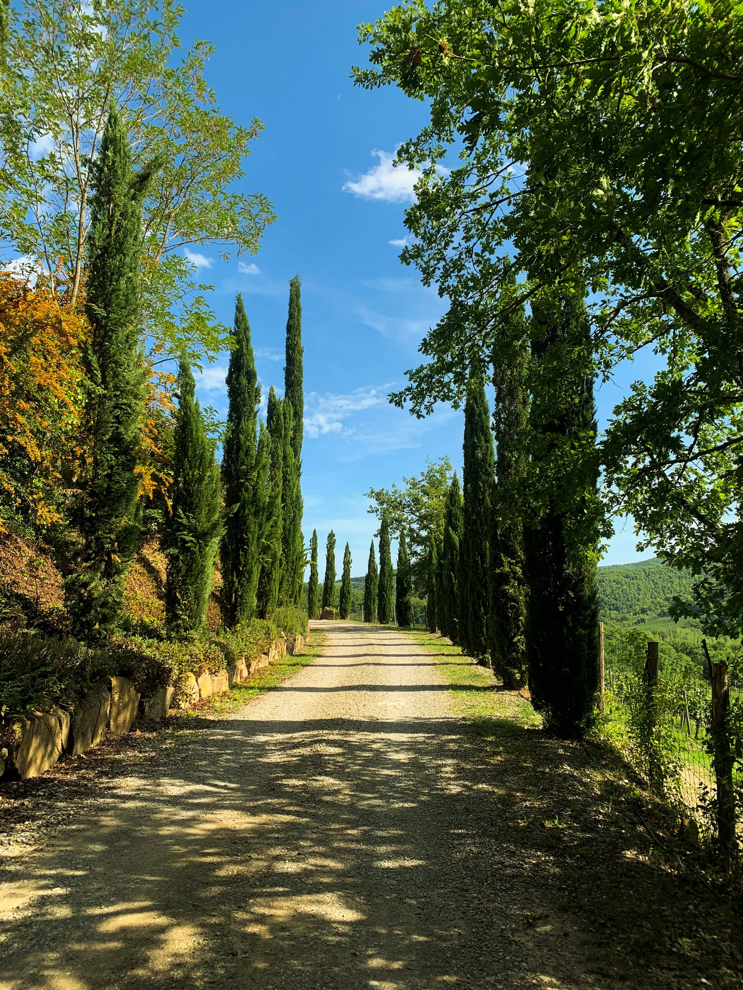 Campaggio Winery .jpg