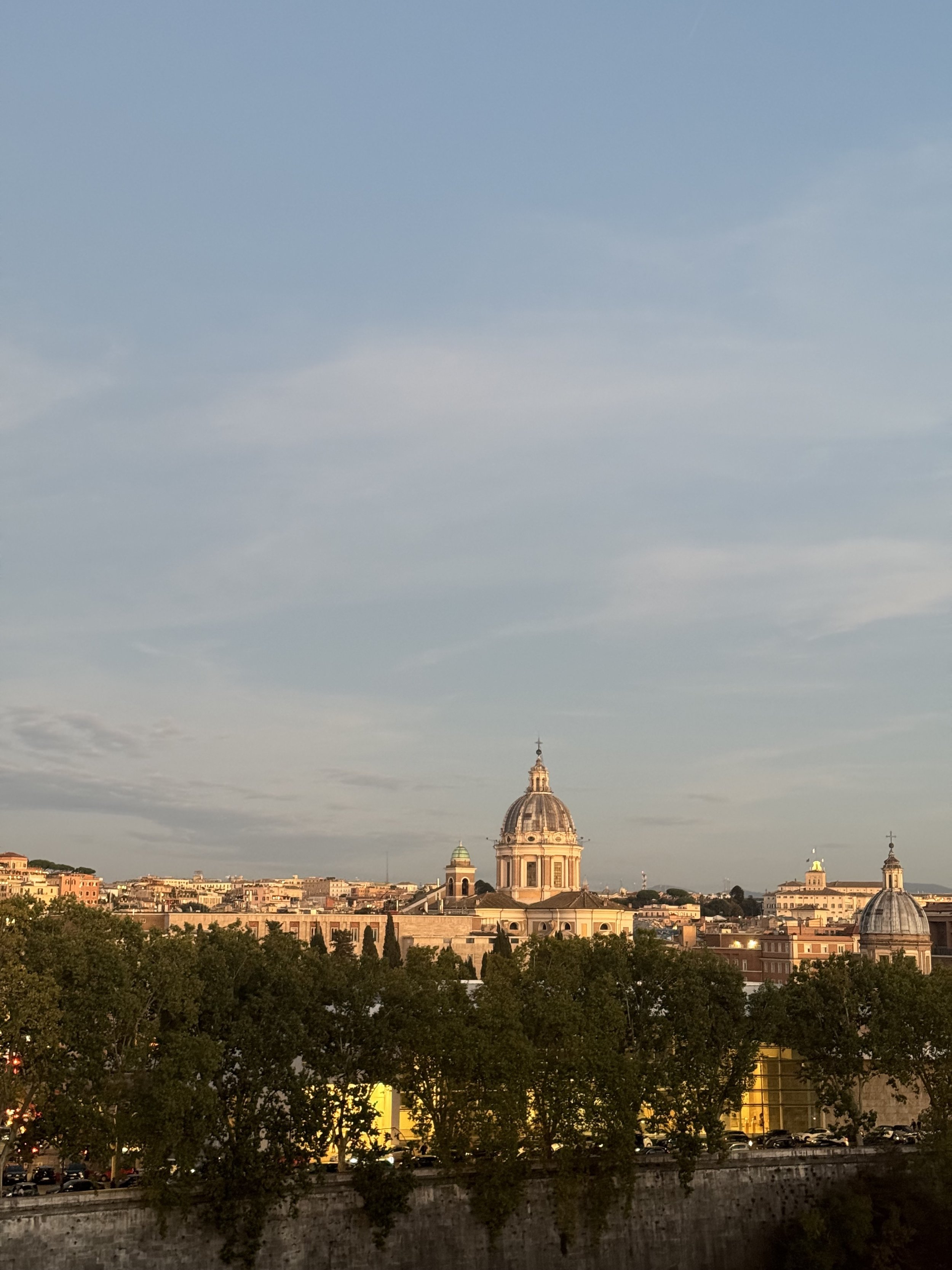 Rome View.jpg