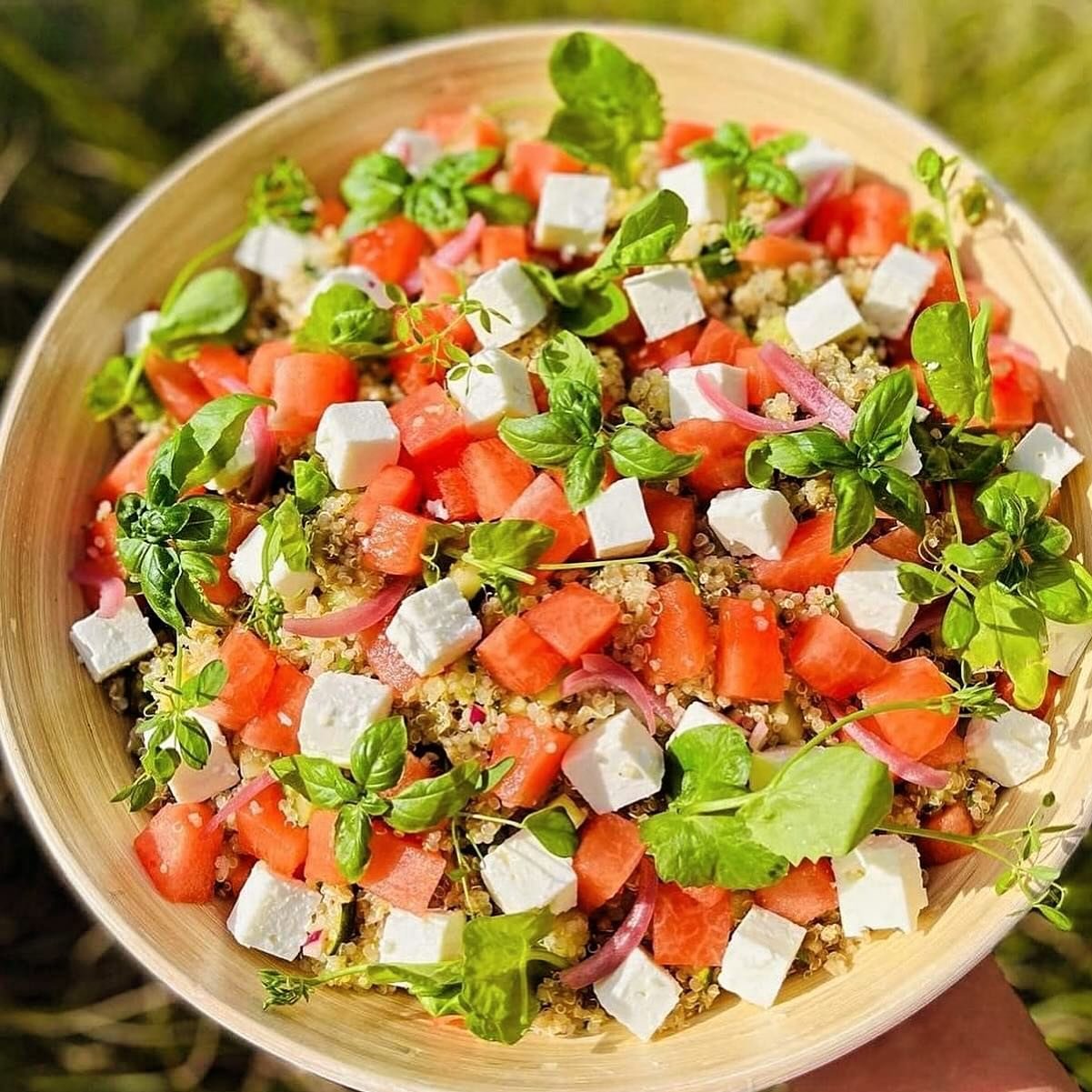 🍉 Sunny vibes in je bord! Salade quinoa, watermeloen 🍉 feta! 😋

Er zijn vrijdag nog plekjes vrij! Reserveer via www.bij-else-frederic.be/zenchef

014/707.989