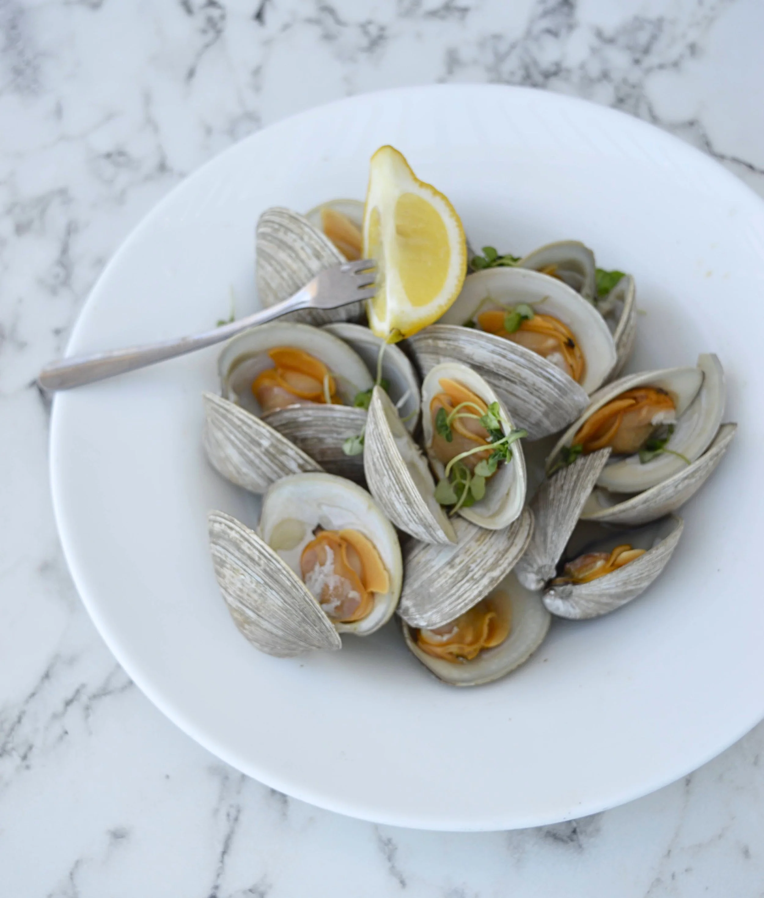 DSC_0290 - Edited.jpg