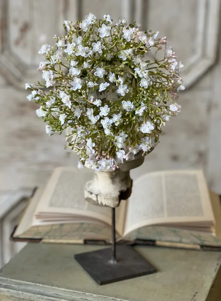 IMG_6627.jpeg (Copy)