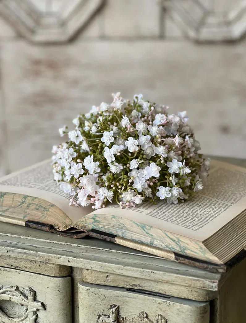 IMG_6631.jpeg (Copy)