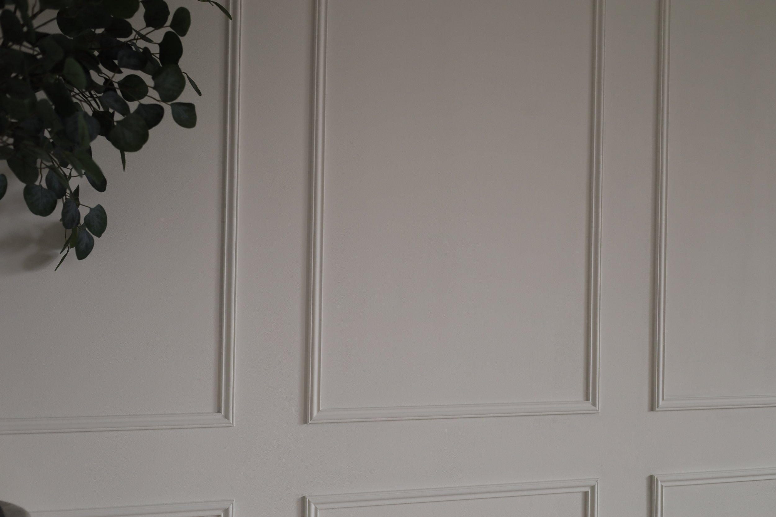 Geleidelijke overgang van een witte wand met decoratieve paneelmuur en een groene plant aan de linkerkant.